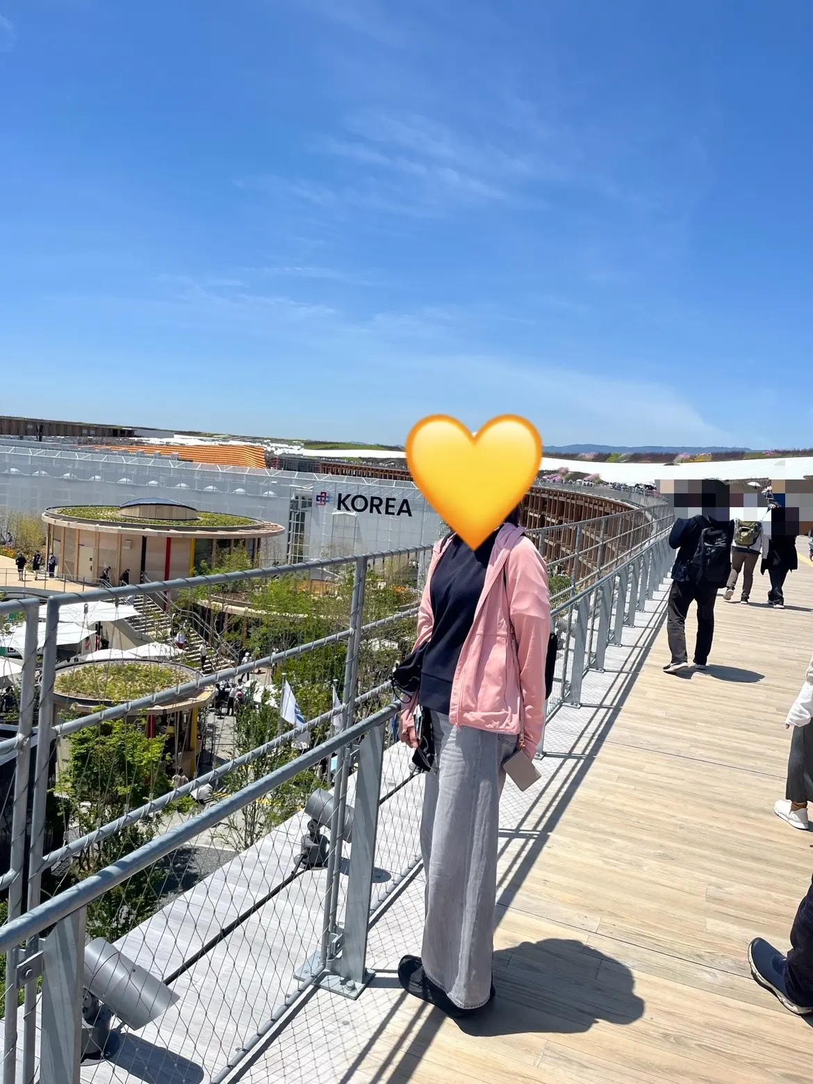 登ってみたら、こんなに見渡せる！