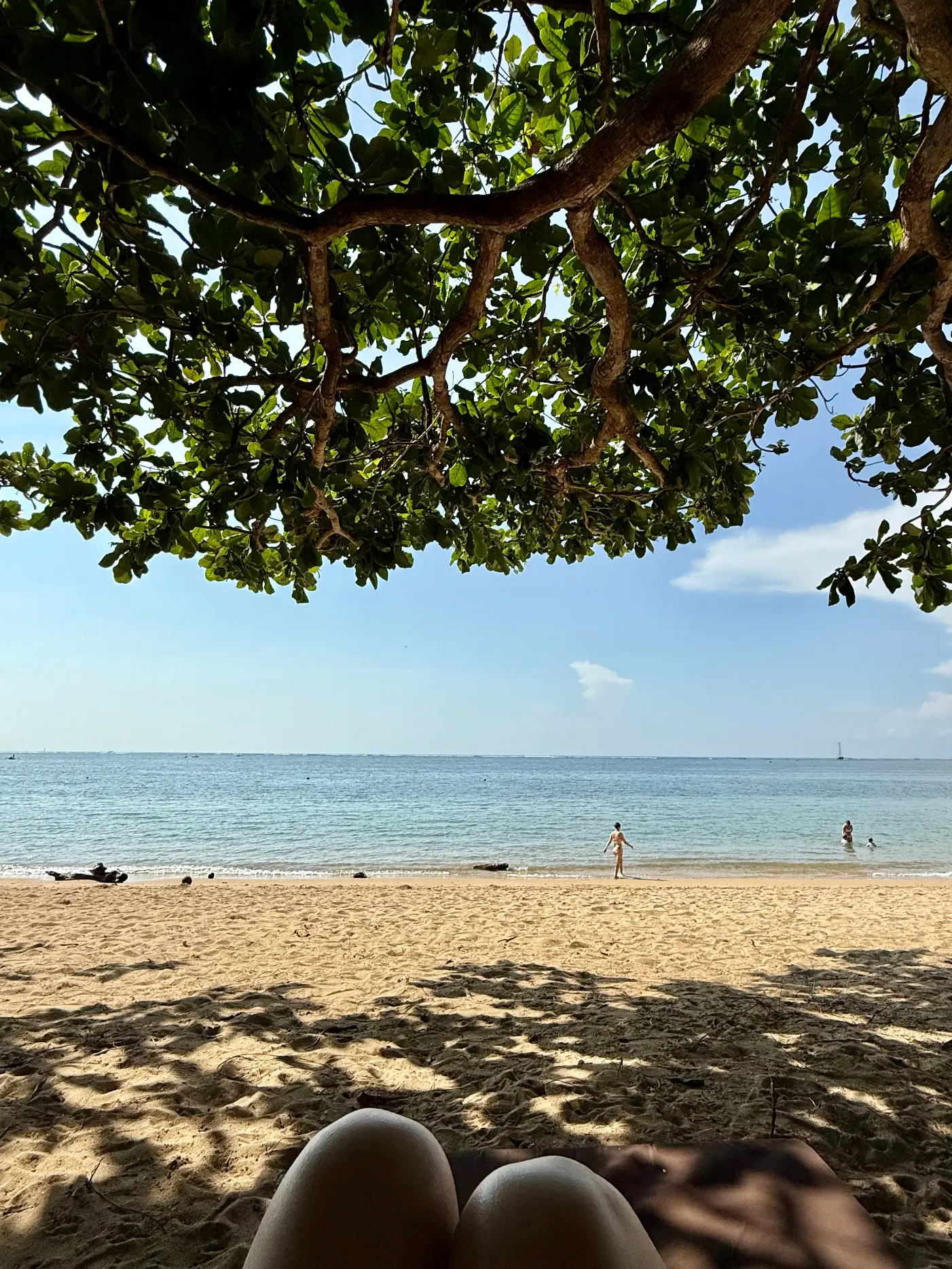 【50代夫婦旅行】 大人がのんびり楽しめるビーチと街があるバリ島サヌール地区_1_23