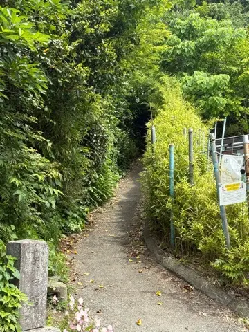 新緑眩しい鎌倉ハイキングに出掛けませんか？_1_9