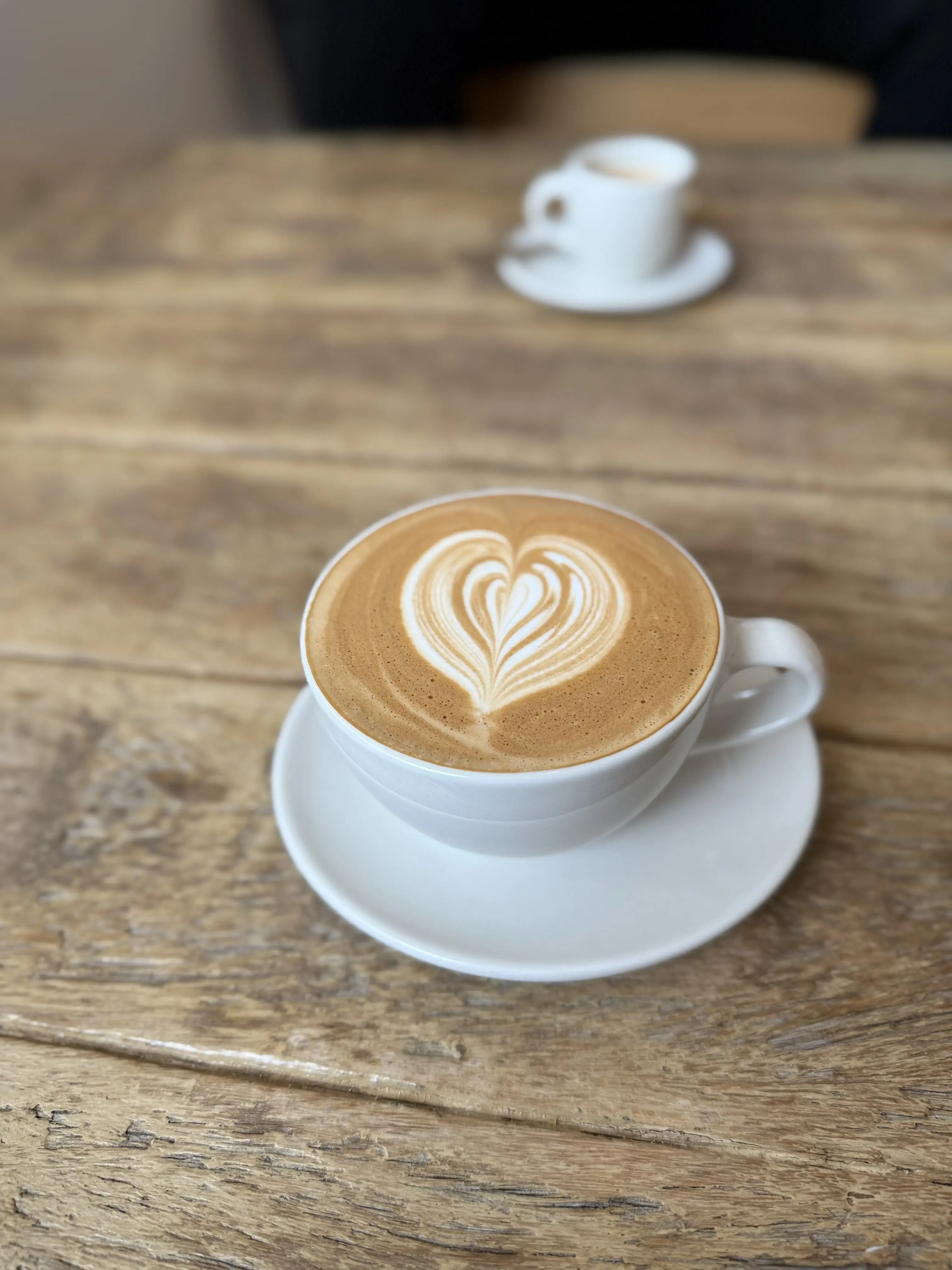 北陸夫婦巡り。富山の絶景スポットと海の幸を堪能した幸せな時間_1_9-2