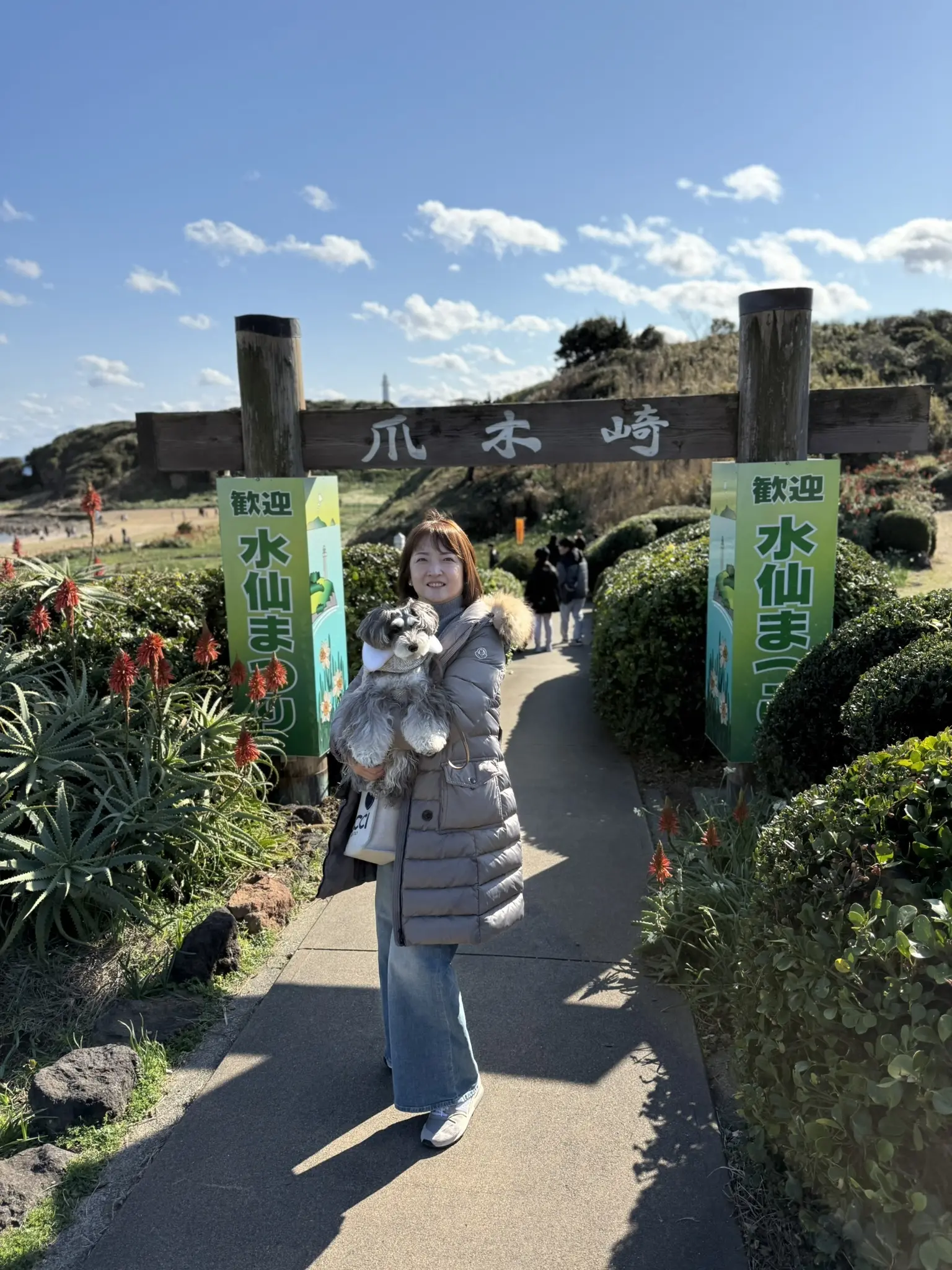 水仙まつり　梅澤千佳子