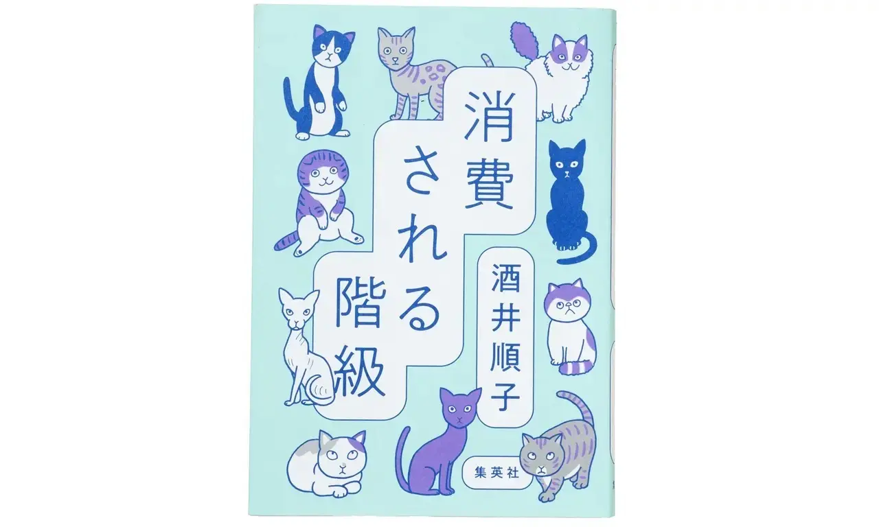 50代の「好く力」考や「生き方」指南も  『消費される階級』