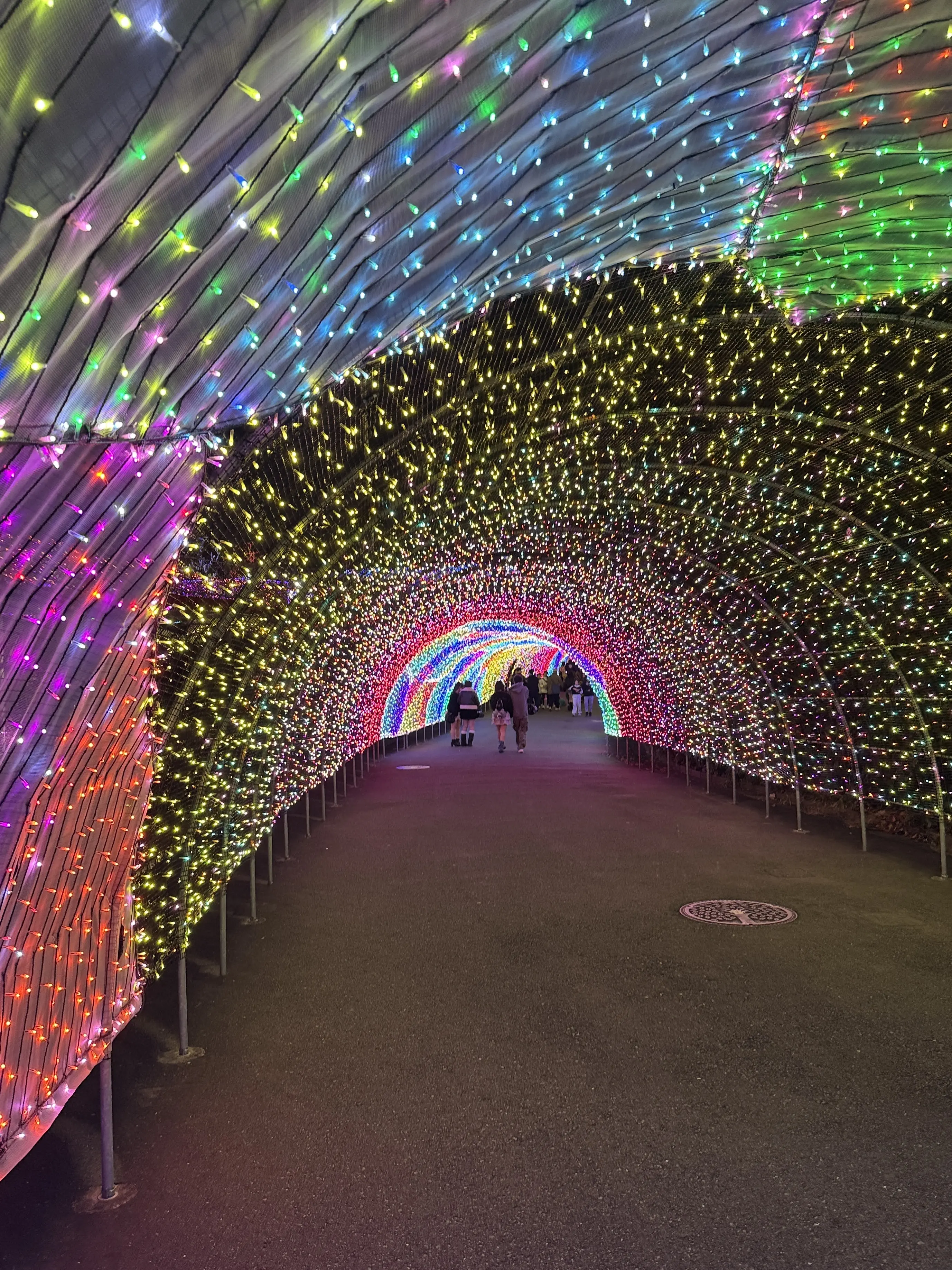 この冬見たい、心に残る東京イルミネーション3選_1_9