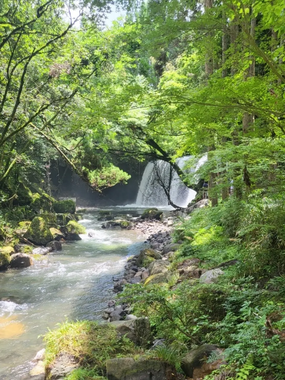 【熊本旅行】阿蘇五岳とカルデラの絶景♡観光スポット6選_1_12