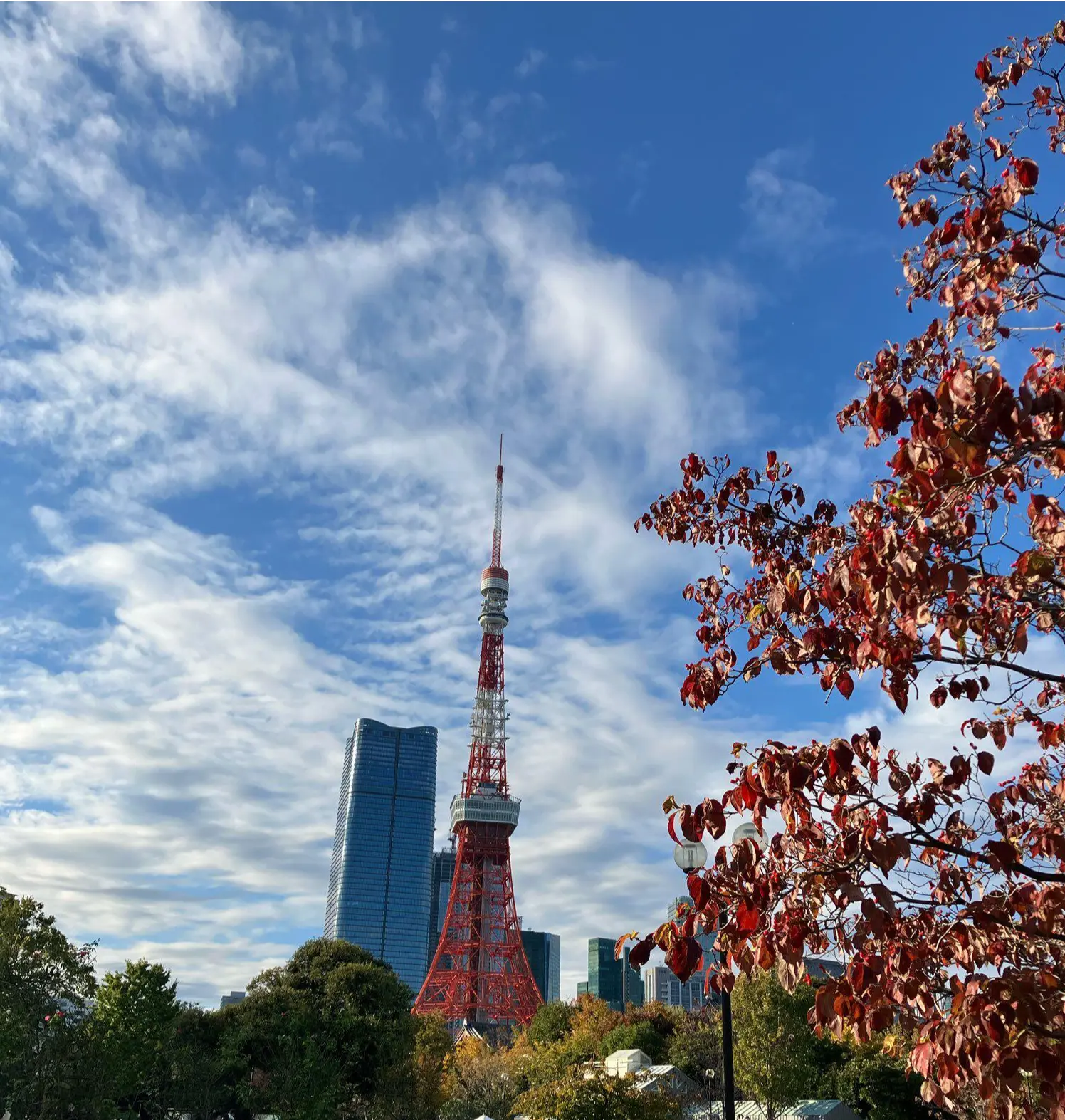 増上寺　東京タワー　寺カフェ　モンブラン　芝公園　芝東照宮　芝縁　TERA CAFE SHIEN ZOJOJI  生絞りモンブラン(極)  天然玉露　朝露　嬉野茶　お散歩　秋の散歩　jマダム 