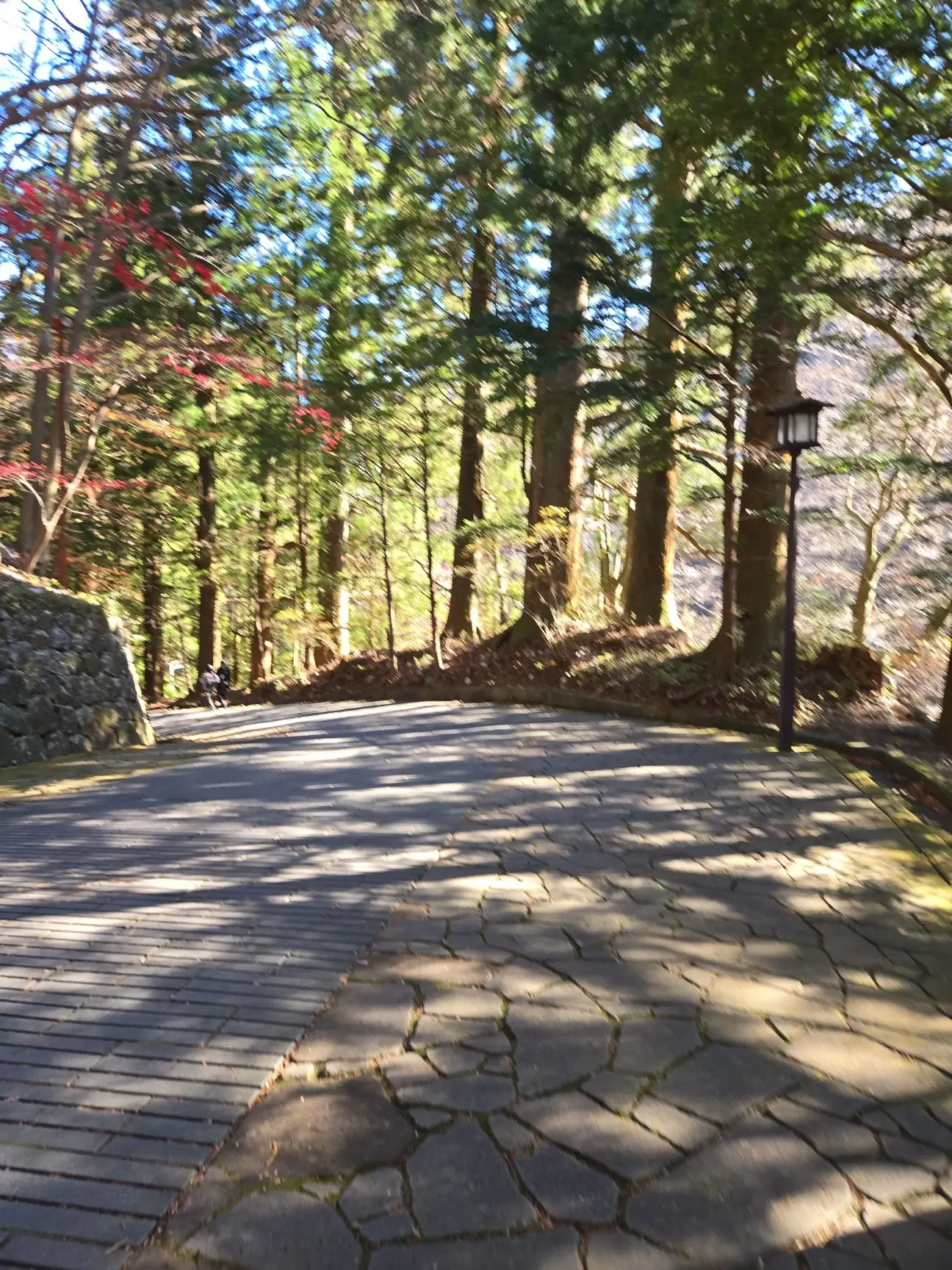 晩秋の日光・宇都宮旅 前編 世界遺産めぐり_1_18