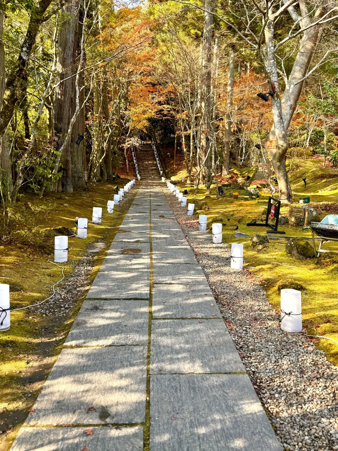 羽織るだけで見た目も気分も華やぐ♪ストールコーディネートで秋のお出かけ_1_16