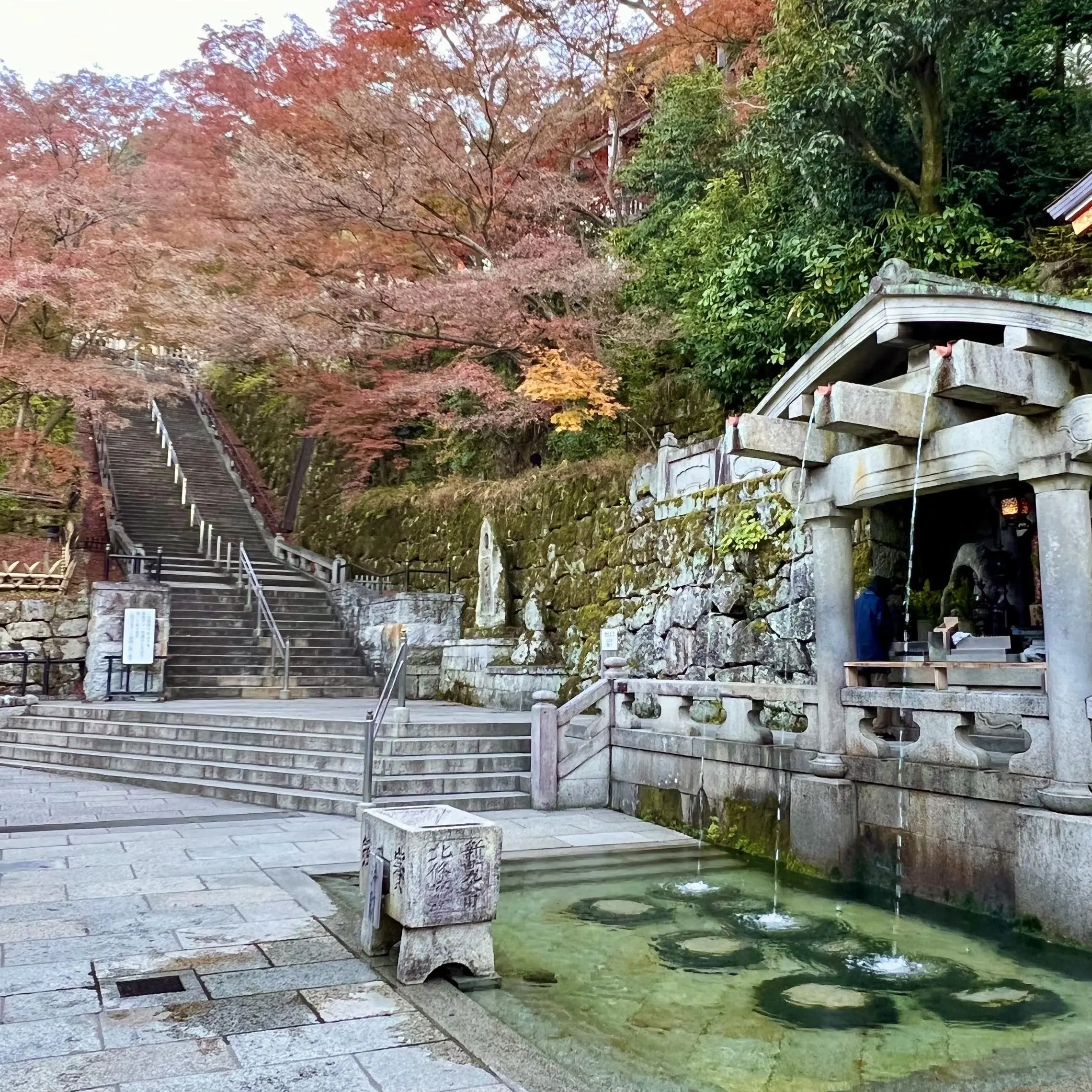 秋の景色を楽しむ♡京都の紅葉②_1_13