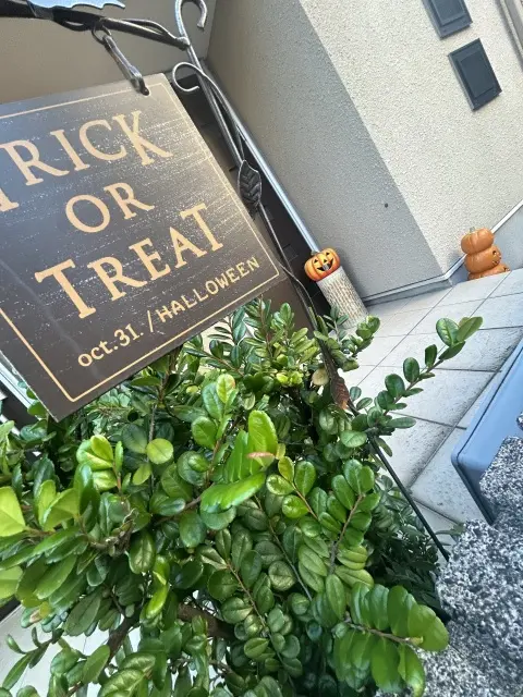 見えないお洒落も取り入れたワントーンハロウィンコーデ　_1_13