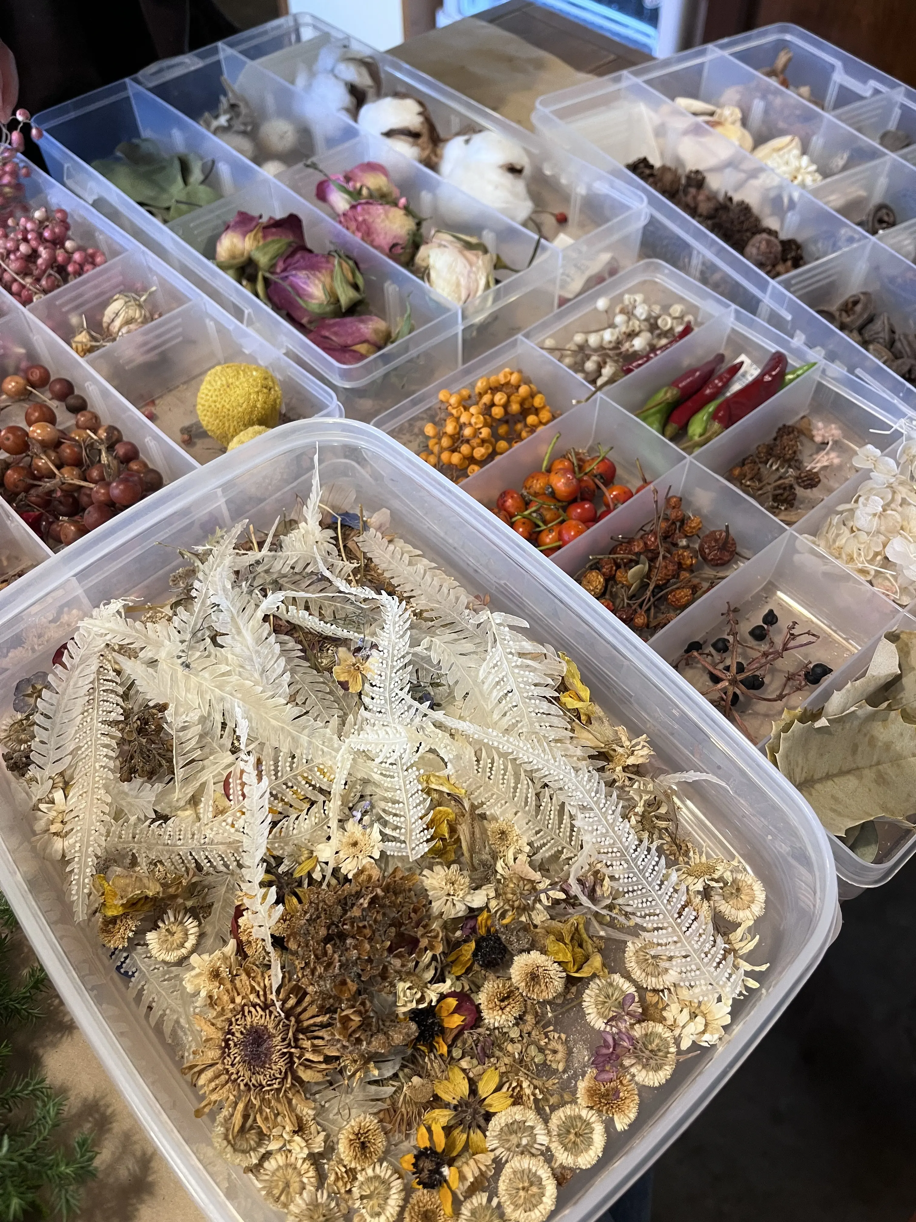 今年は早めのクリスマスリース作り_1_8