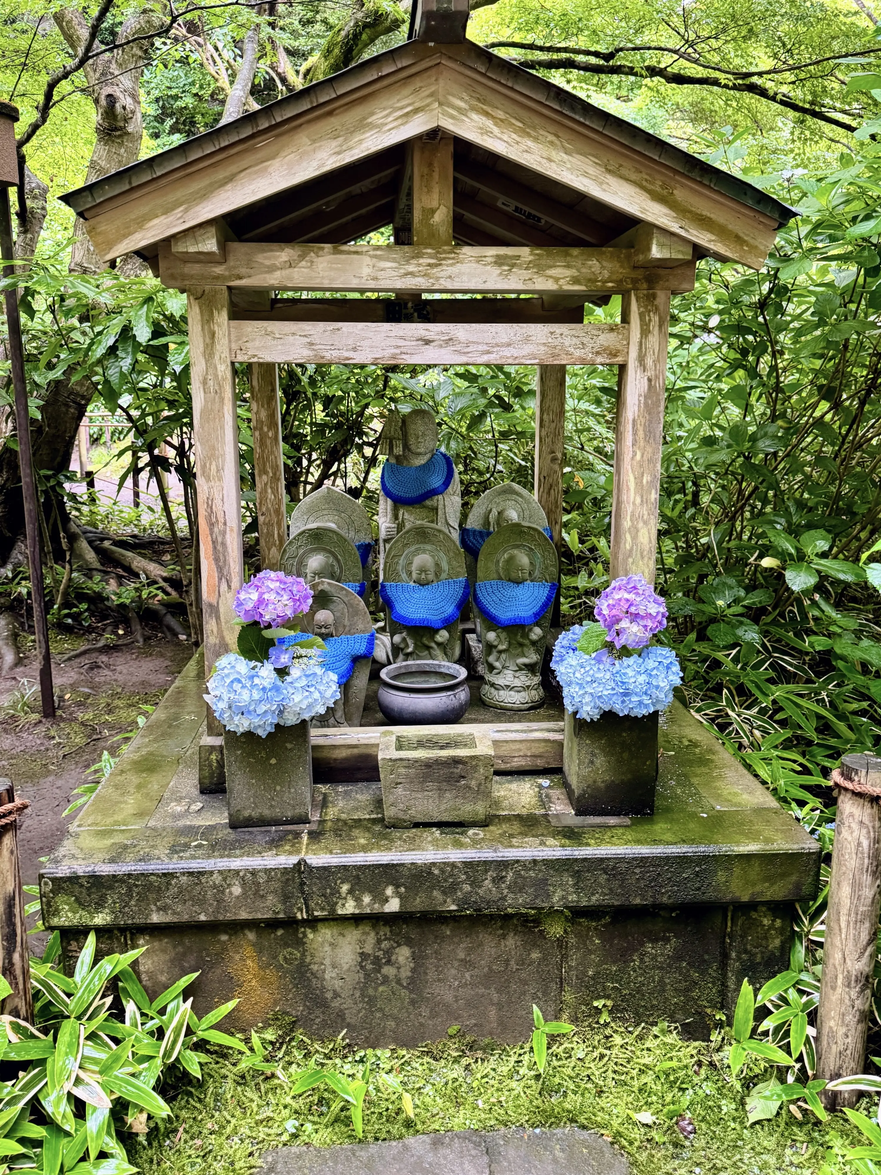 紫陽花の季節、自分で仕立てたお着物で古都鎌倉・明月院へ_1_10