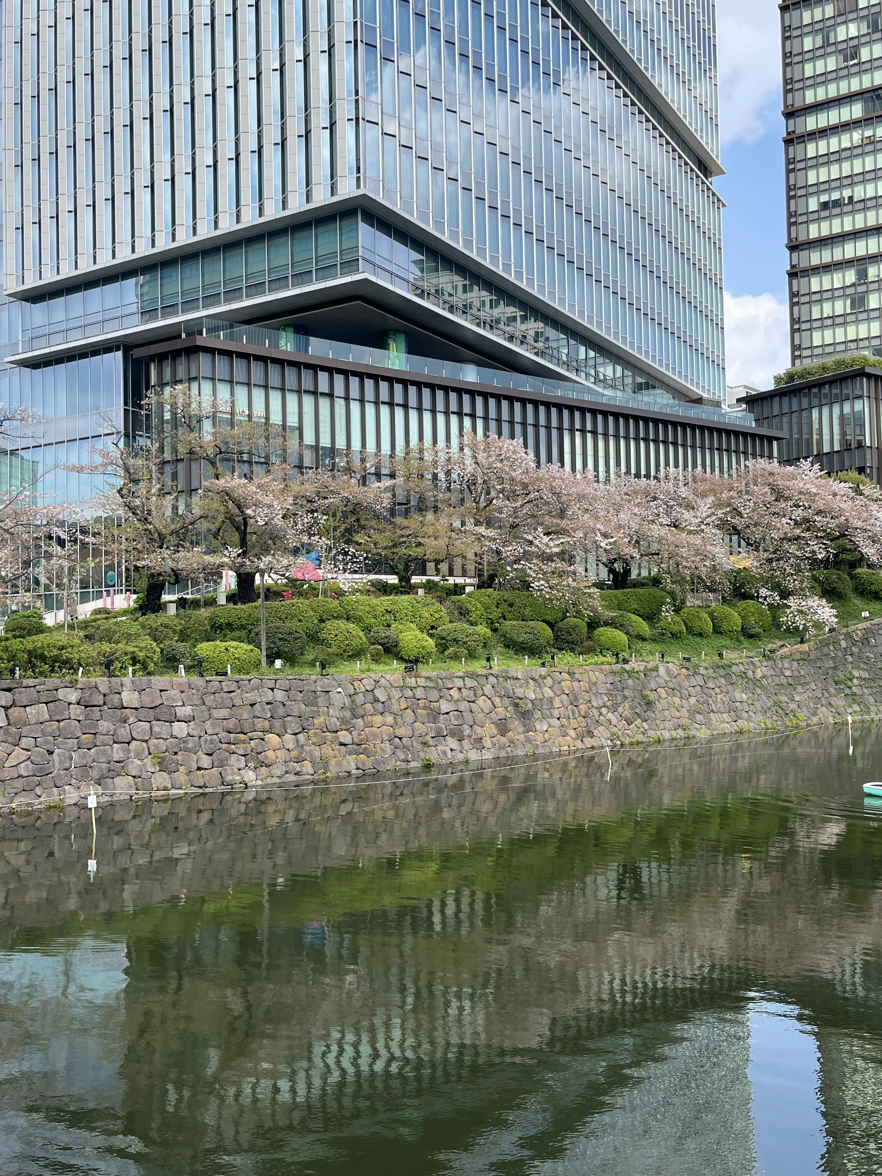 今年のことは今年のうちに_1_2