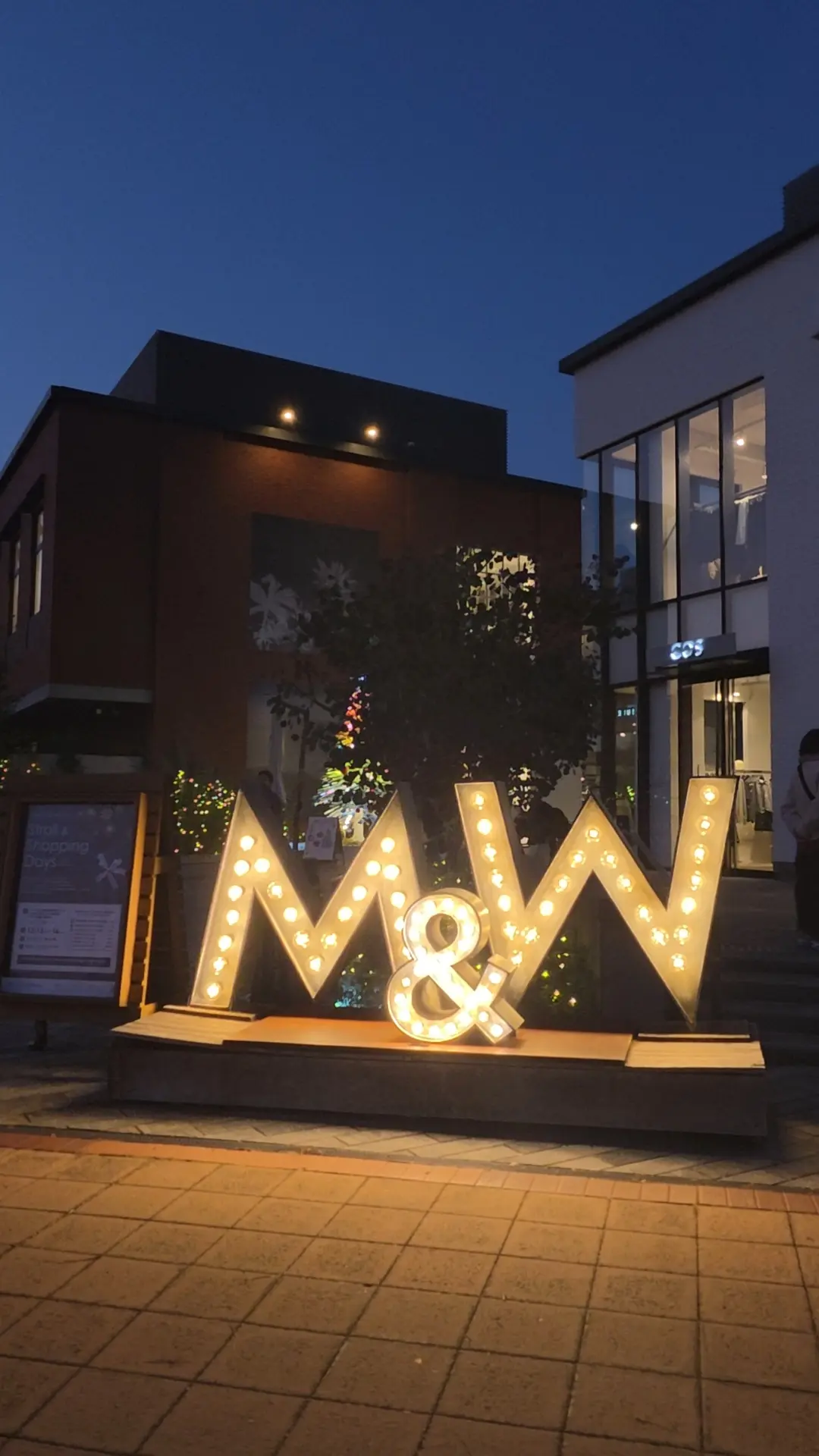 横浜で過ごす、光と味わいのひととき♡_1_6-1