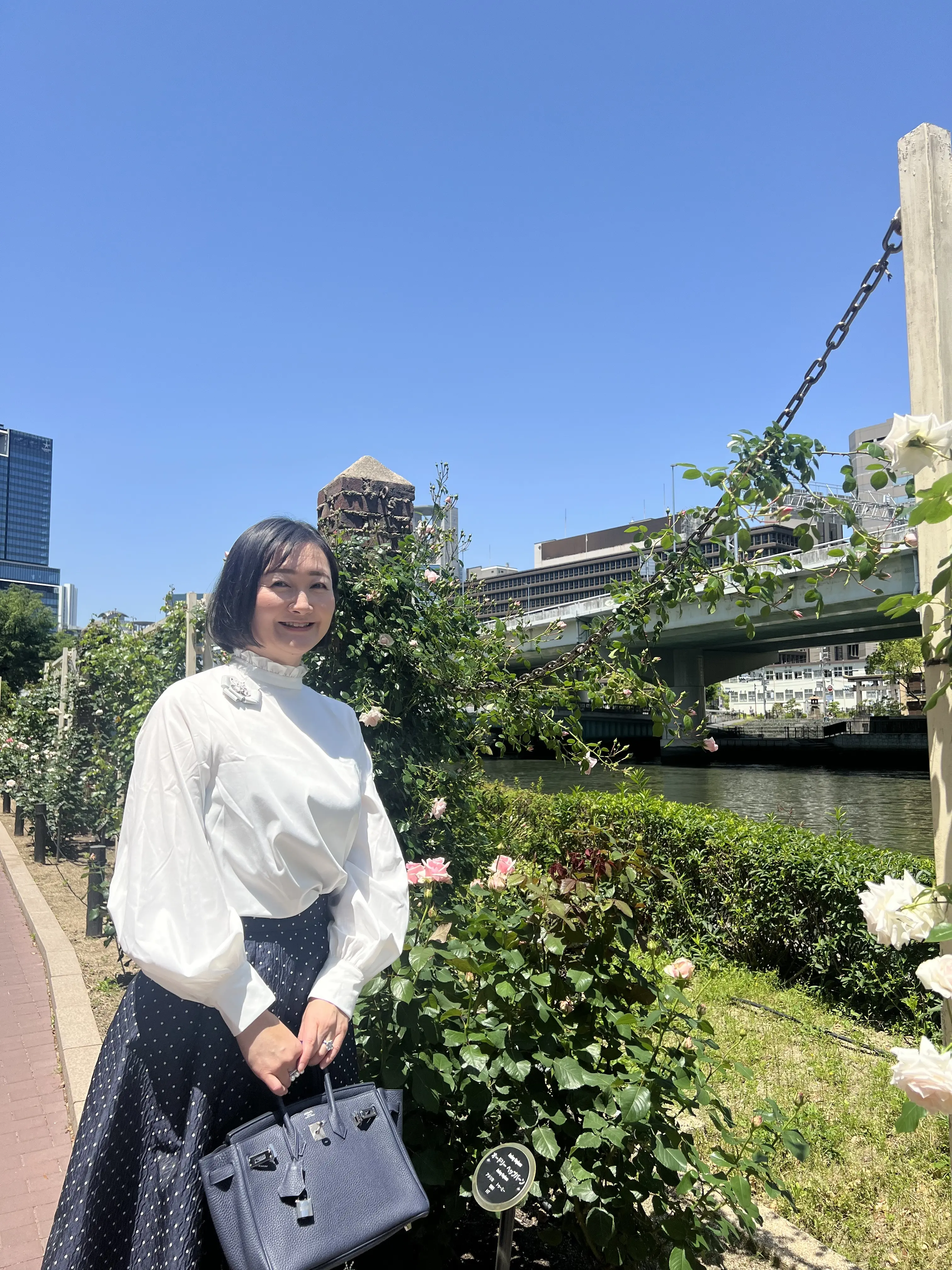 新緑の季節、バラが見頃の大阪中之島公園へ♪_1_4-2