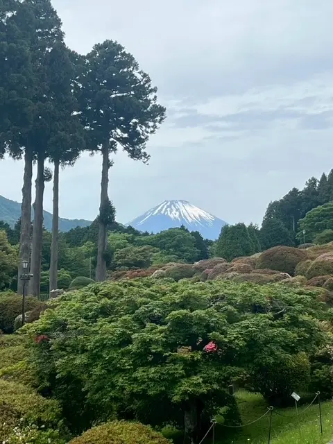 箱根新スポット 絶景の芦ノソラへ_1_3