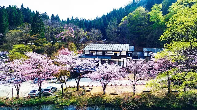 GWごろには桜が開花し、遊歩道を散歩することもできる