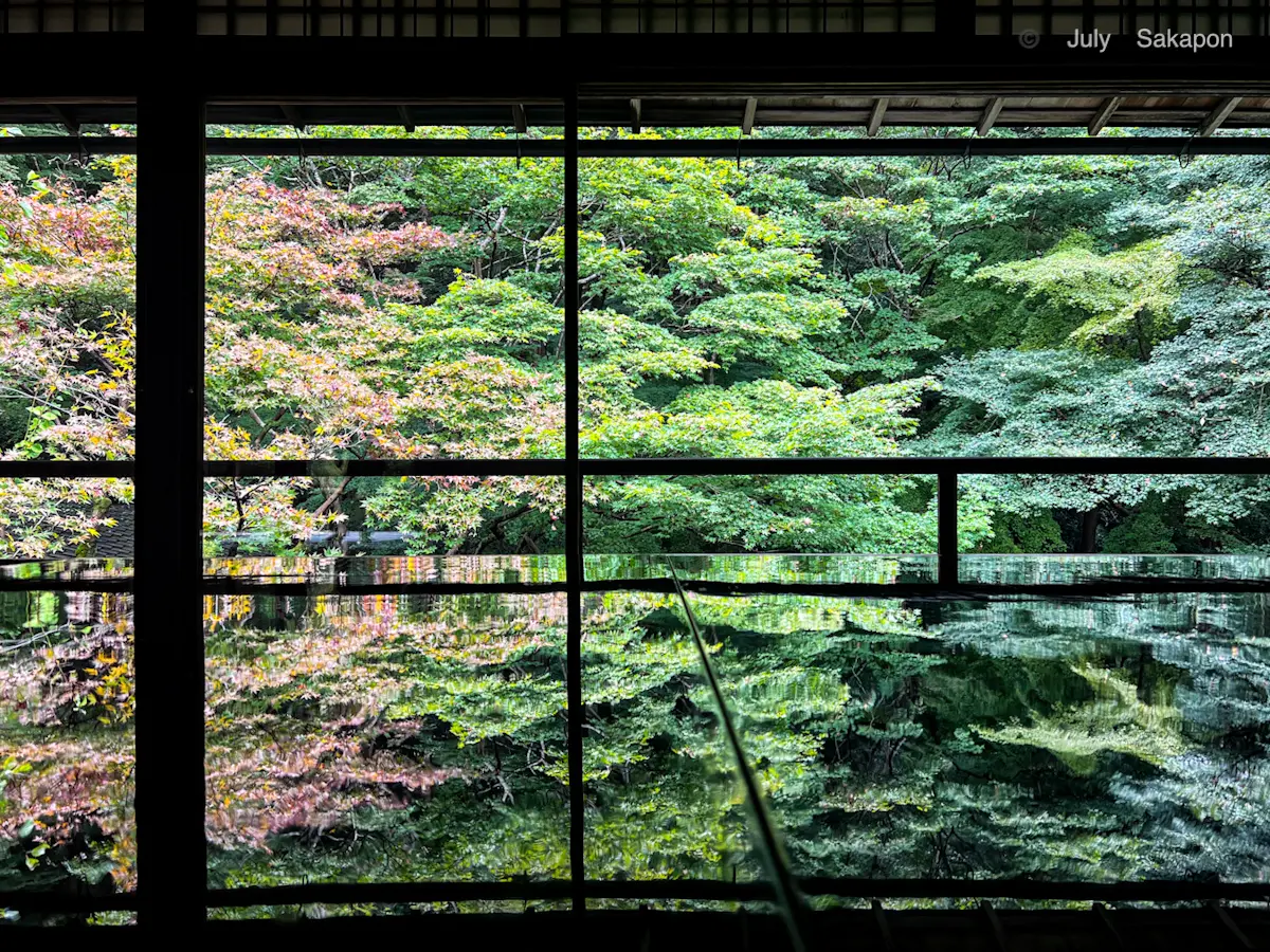 【京都】紅葉パトロール🍁瑠璃光院🍁秋の特別拝観_1_1