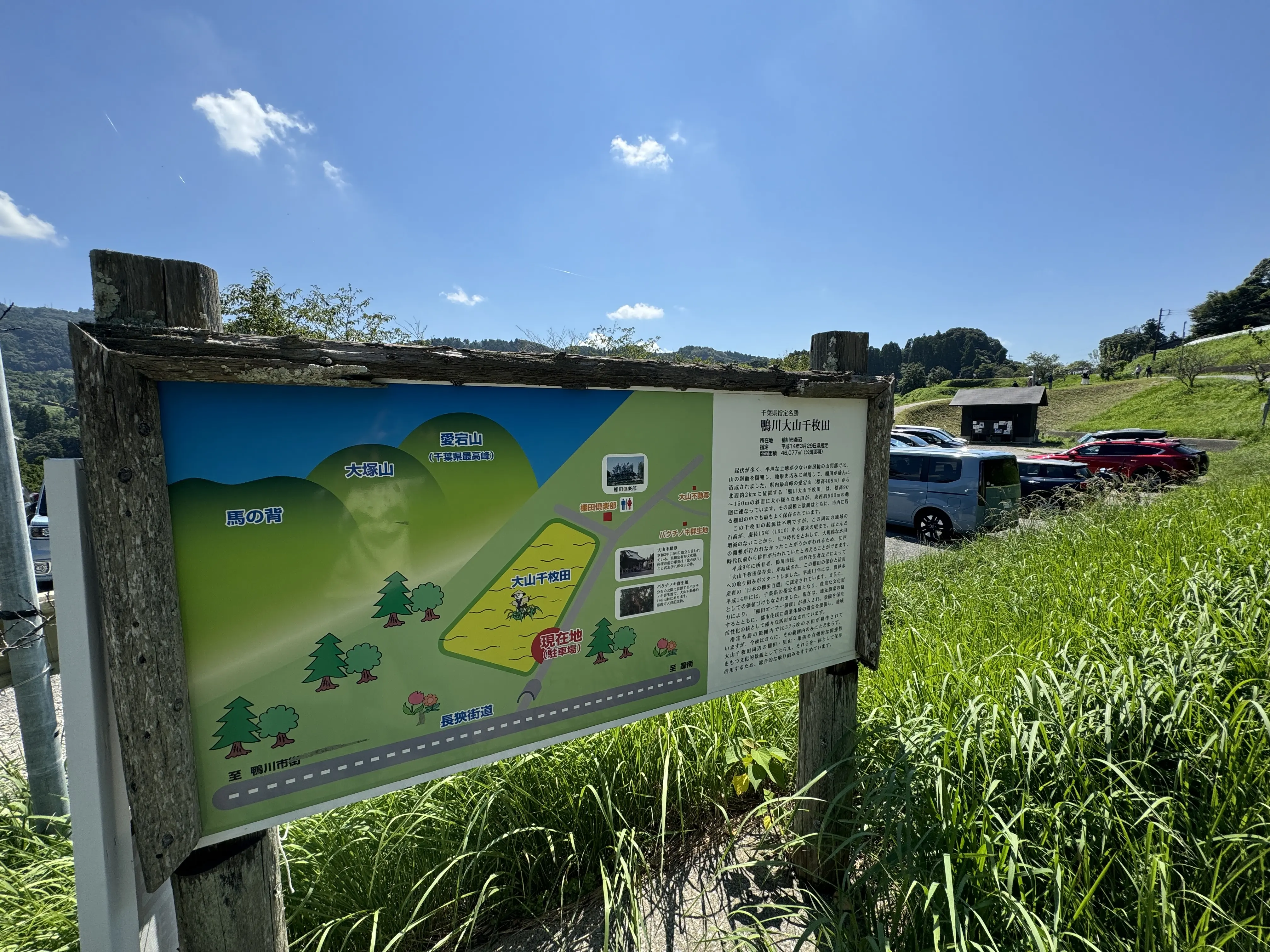 鴨川大山千枚田