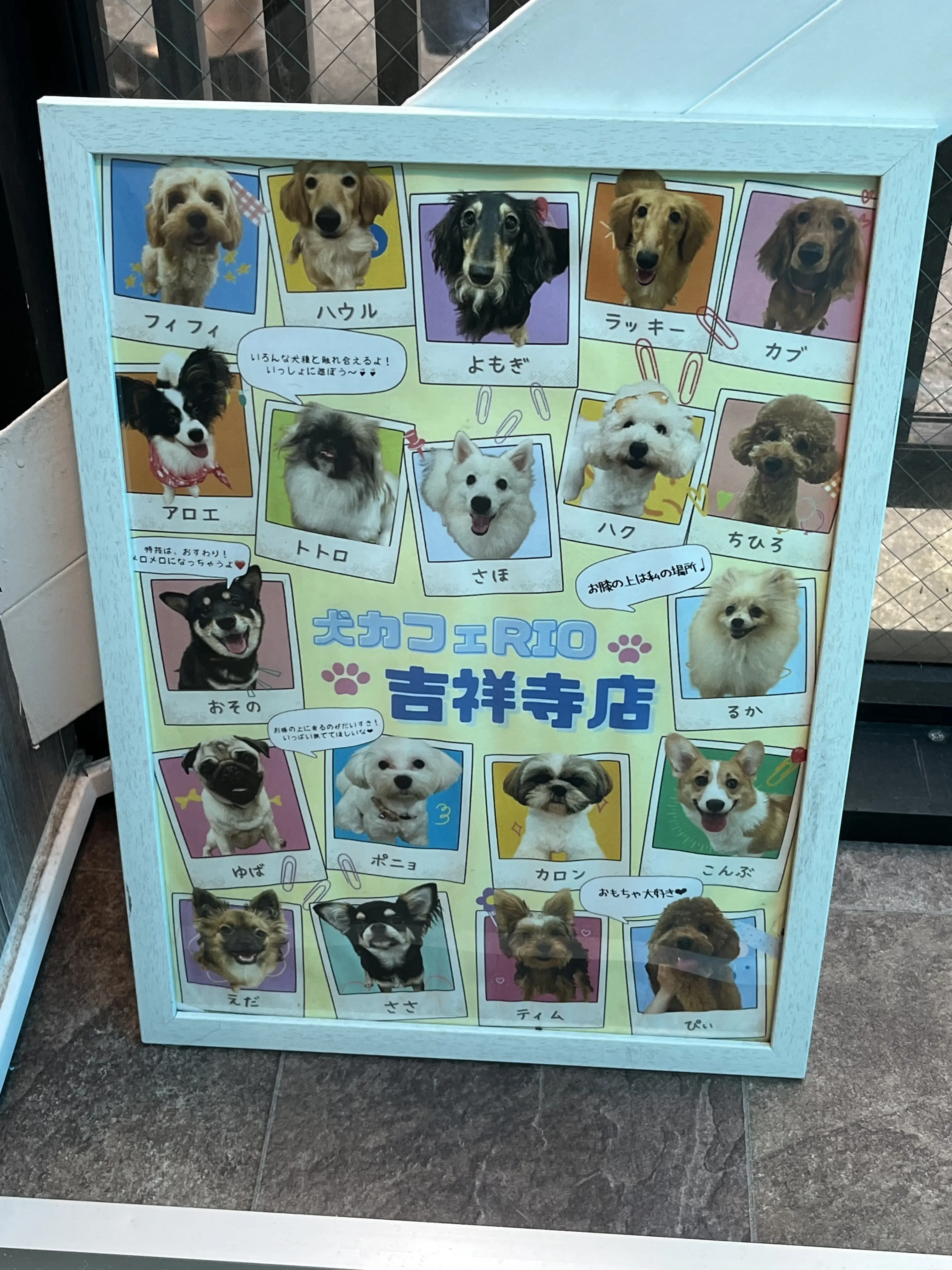 初めての犬カフェへ_1_1