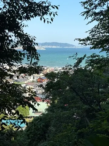 鎌倉紫陽花と続・続・最後から二番目の恋ロケ地巡り_1_3