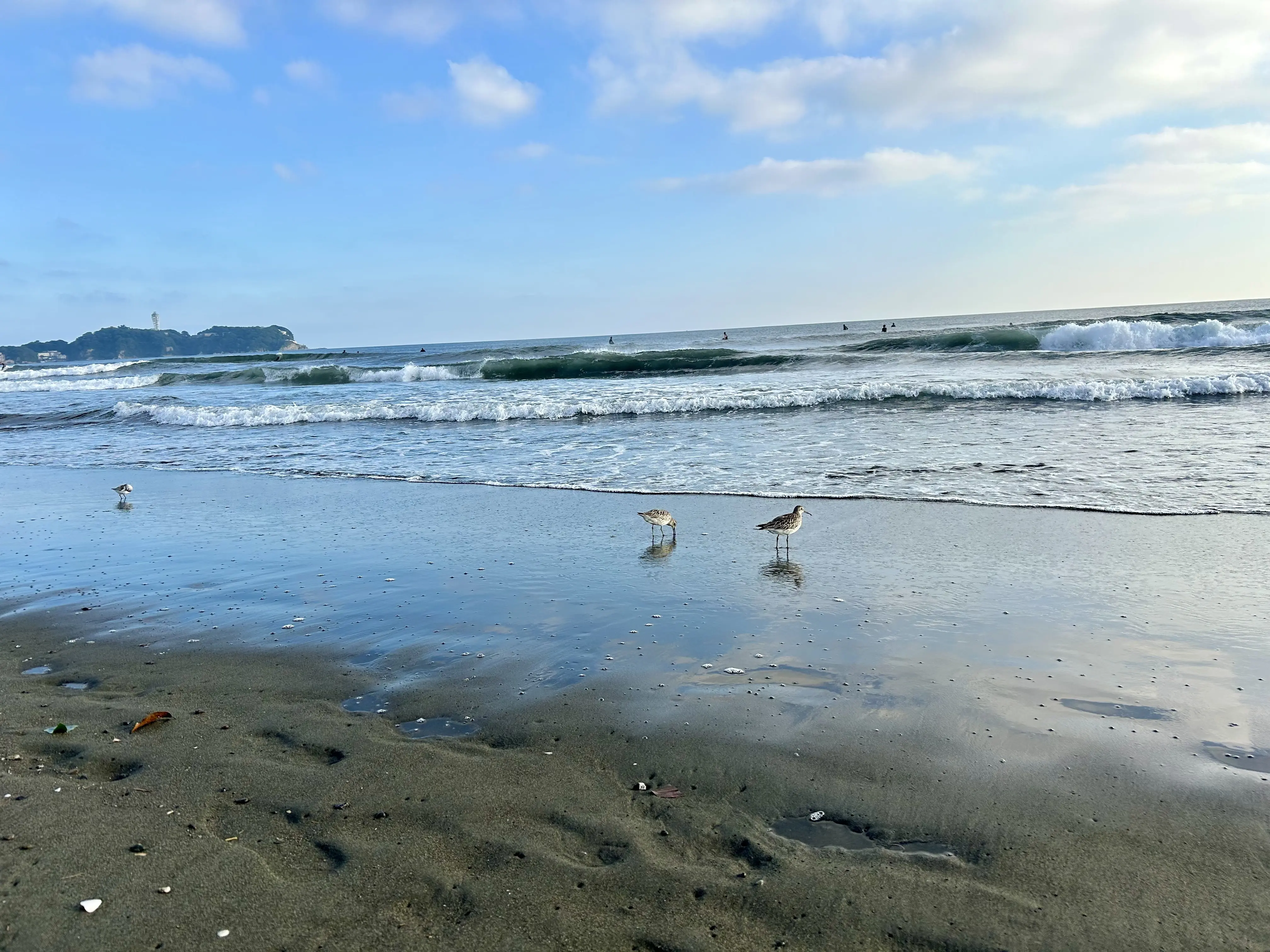 秋の海辺へ午後活に♪_1_2