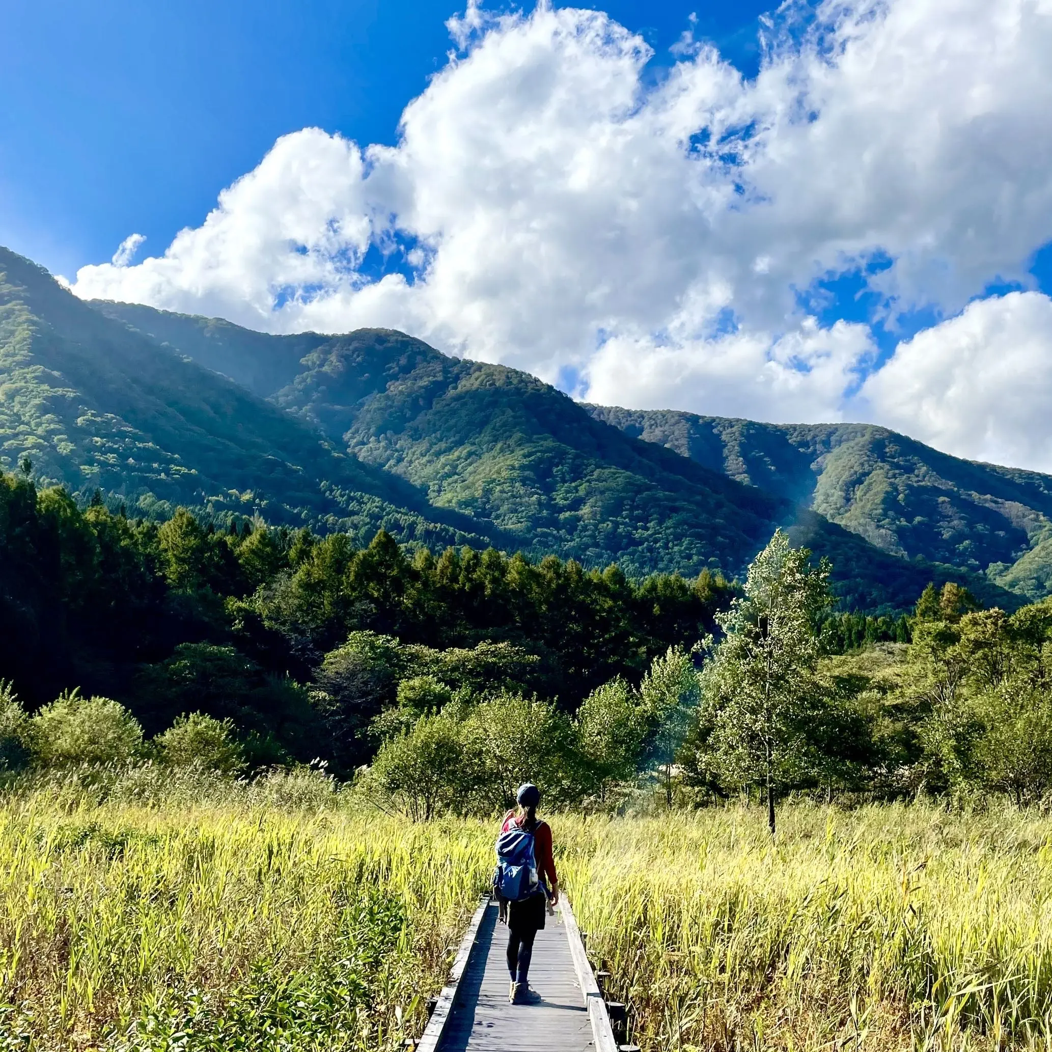 長野県、白馬、新海湿原