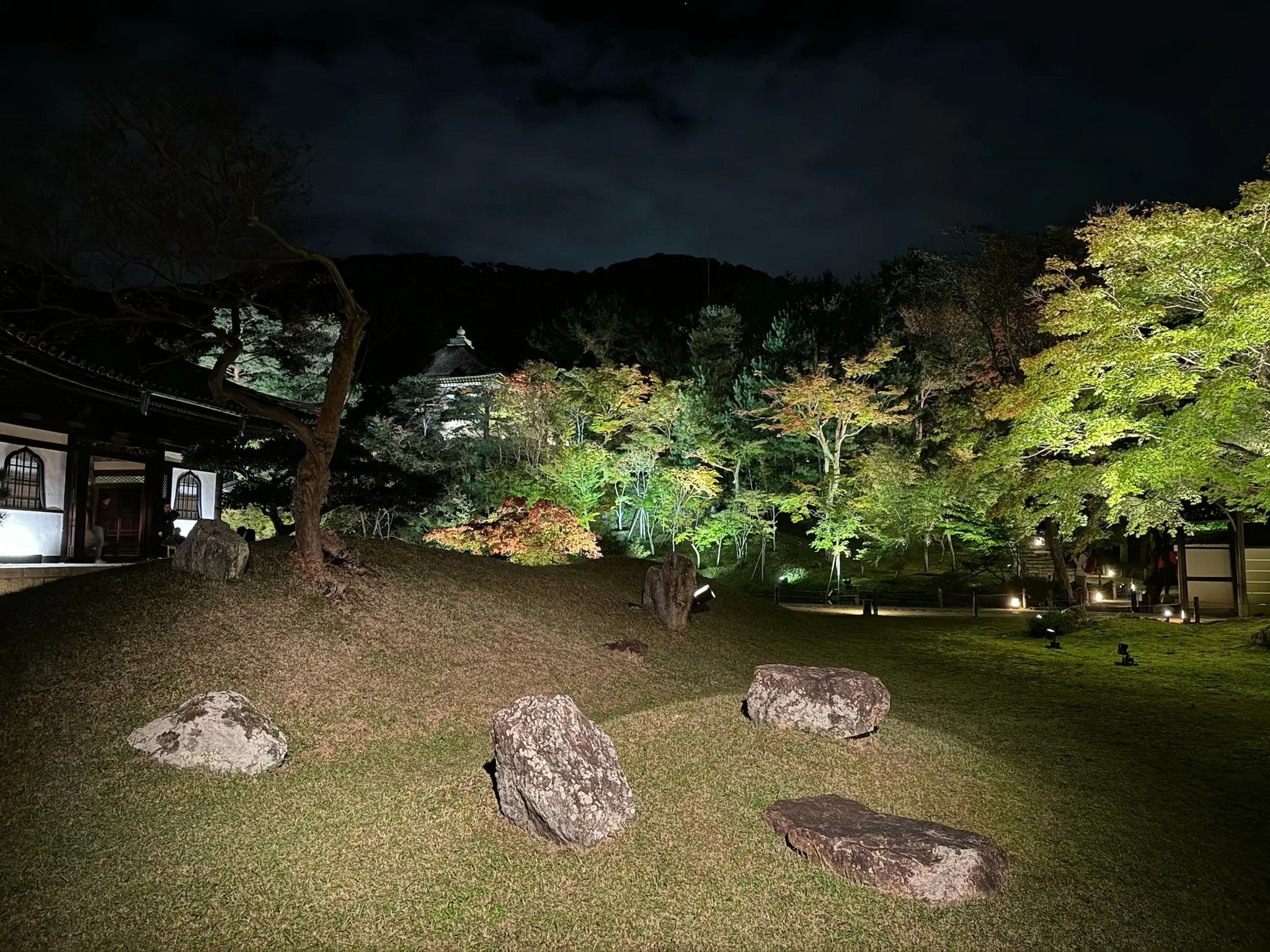 雪待月の京都旅行(前編)〜夜の石塀小路と高台寺_1_10