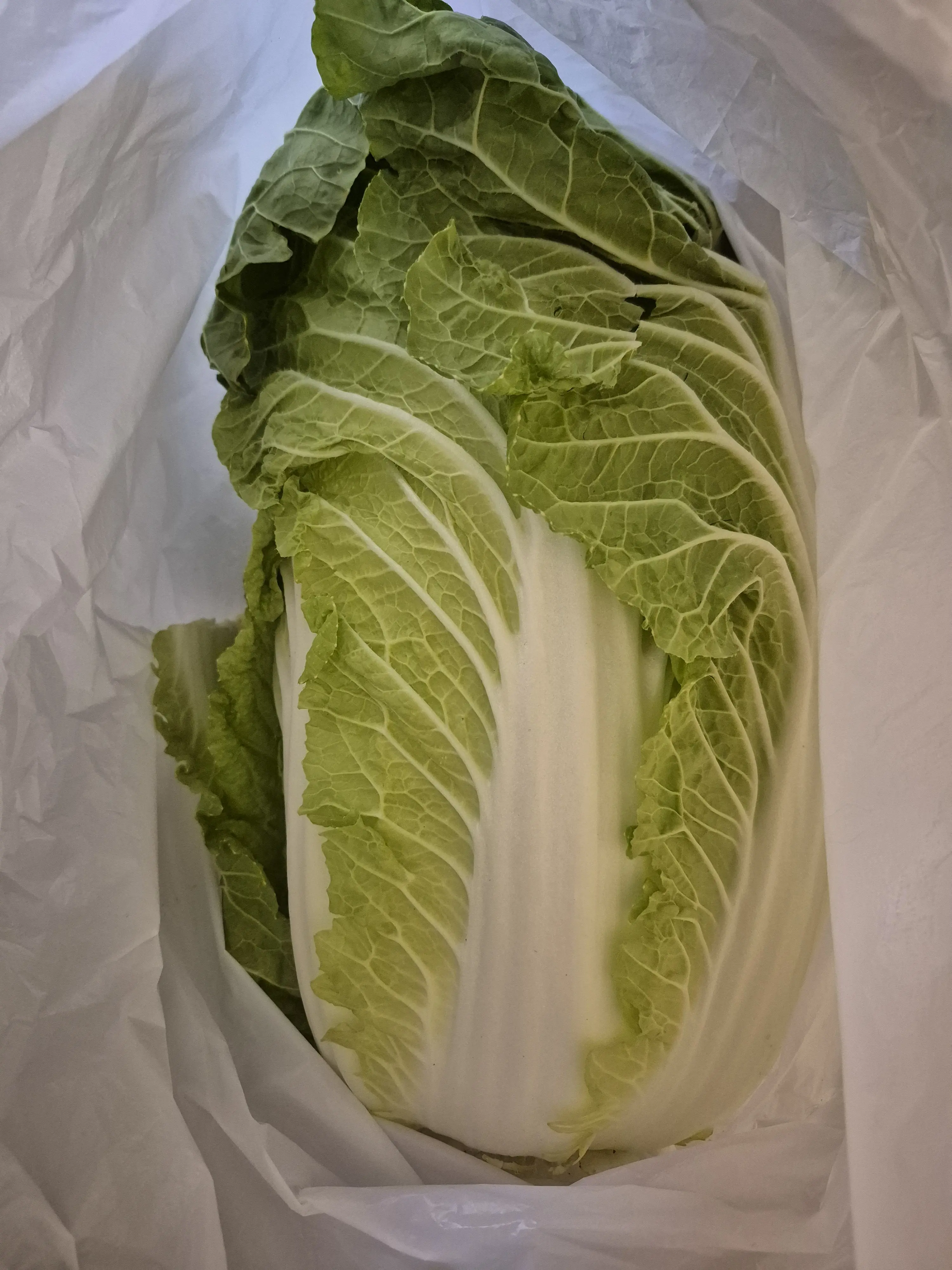 早朝の丸の内＆ドキドキのミステリーツアーに参加して来ました_1_7