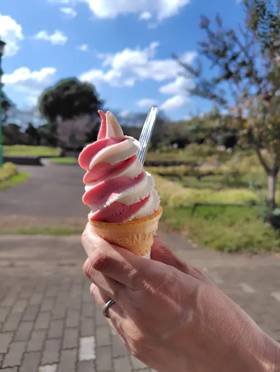 ふらり、コキアの小径へ_1_6