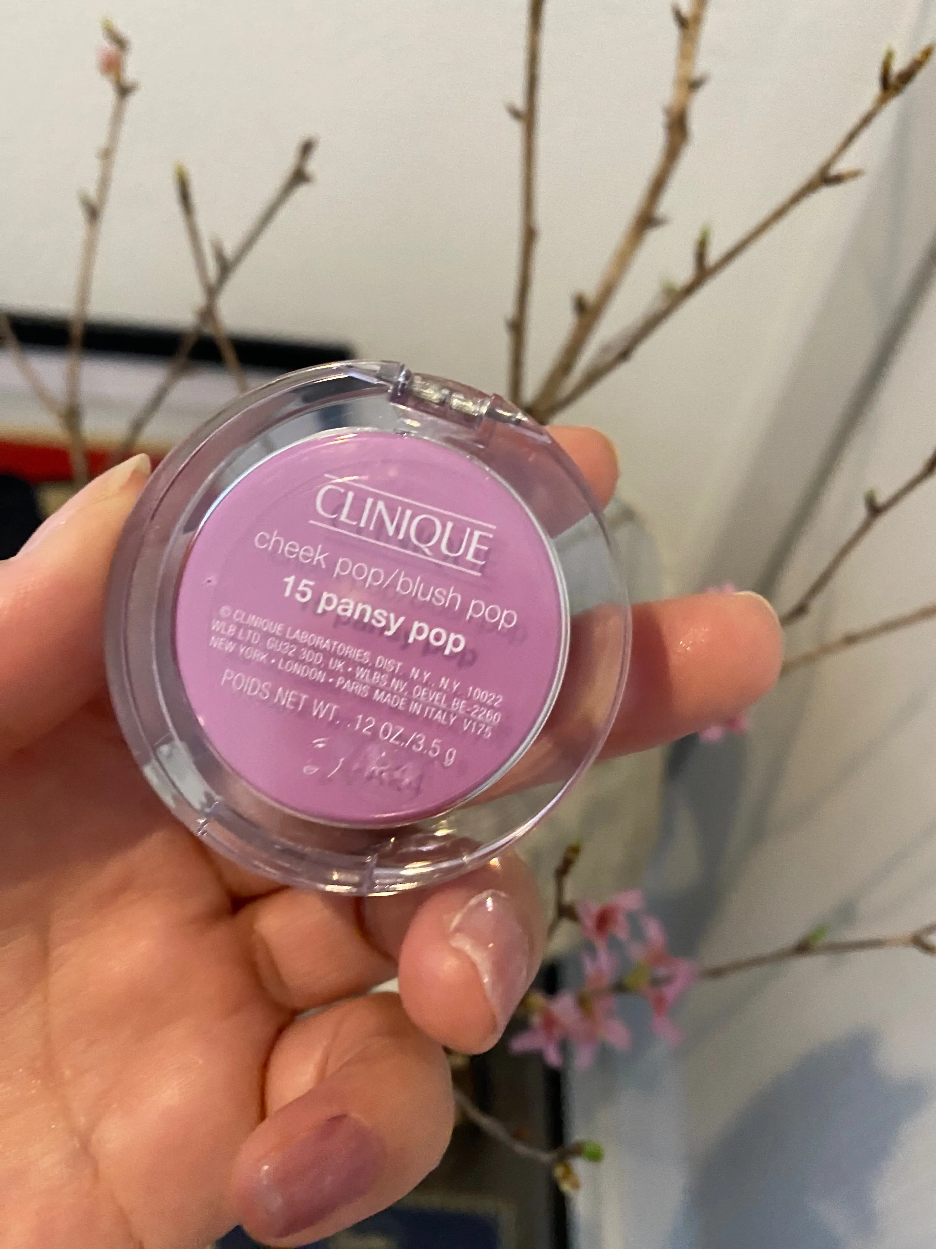 クリニークチークポップ 15　パンジーポップ CLINIQUE CHEEK POP  PANSY POP15の裏面を見せてパッケージを持つ女性の手と花の咲いた桜の枝の対比画像