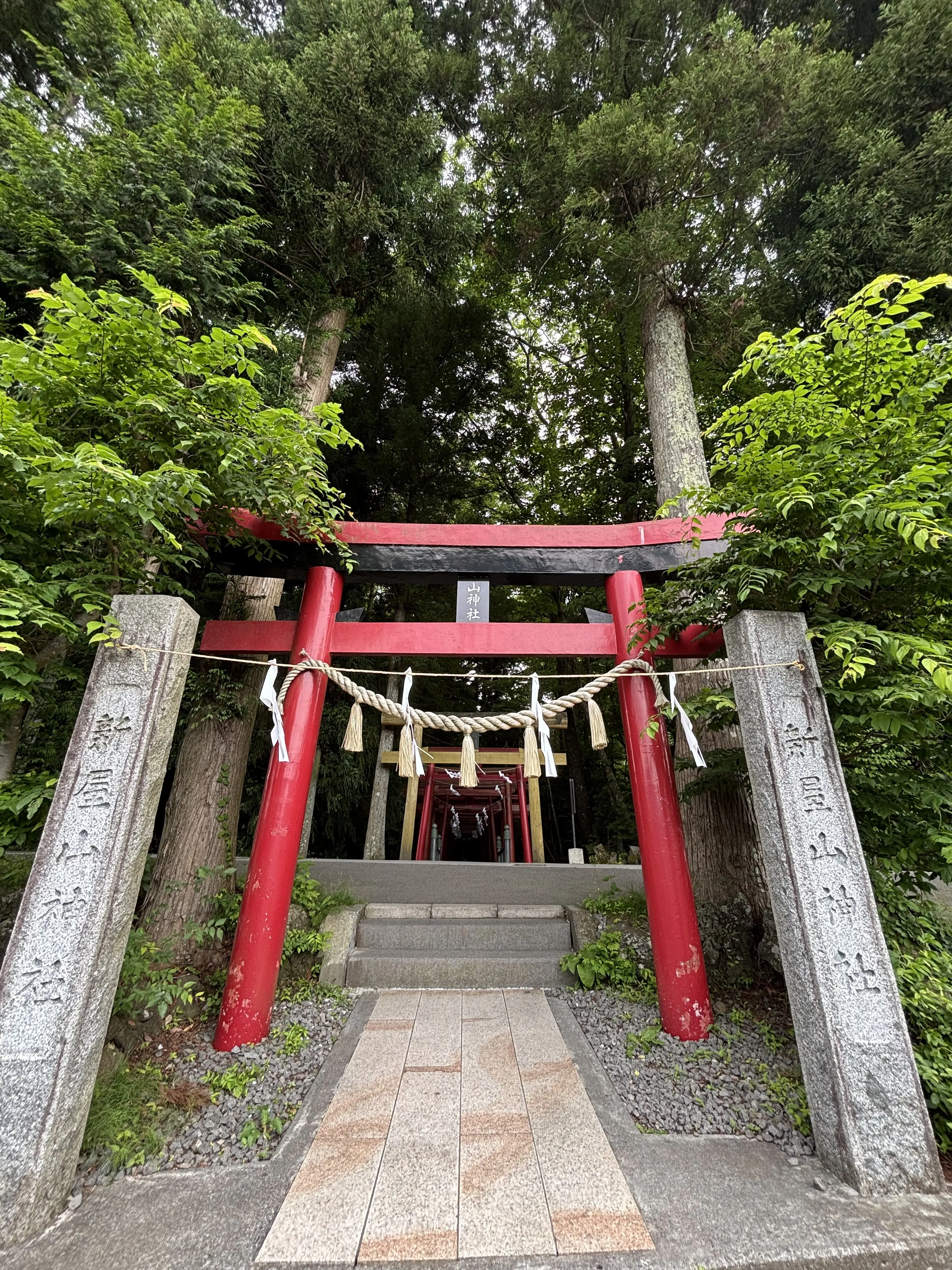 日本三大金運神社へ_1_3