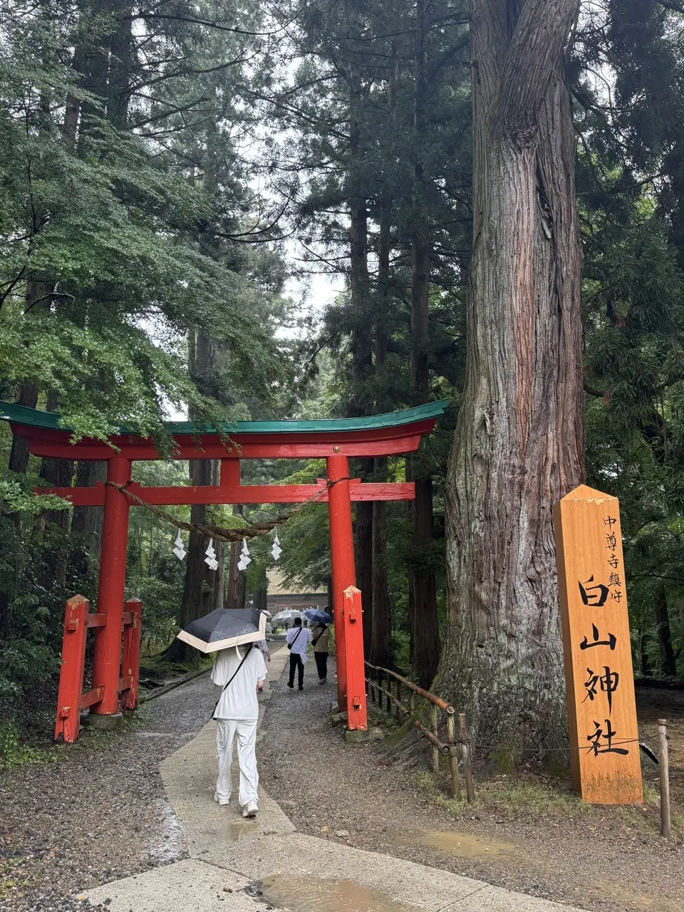 中尊寺 09