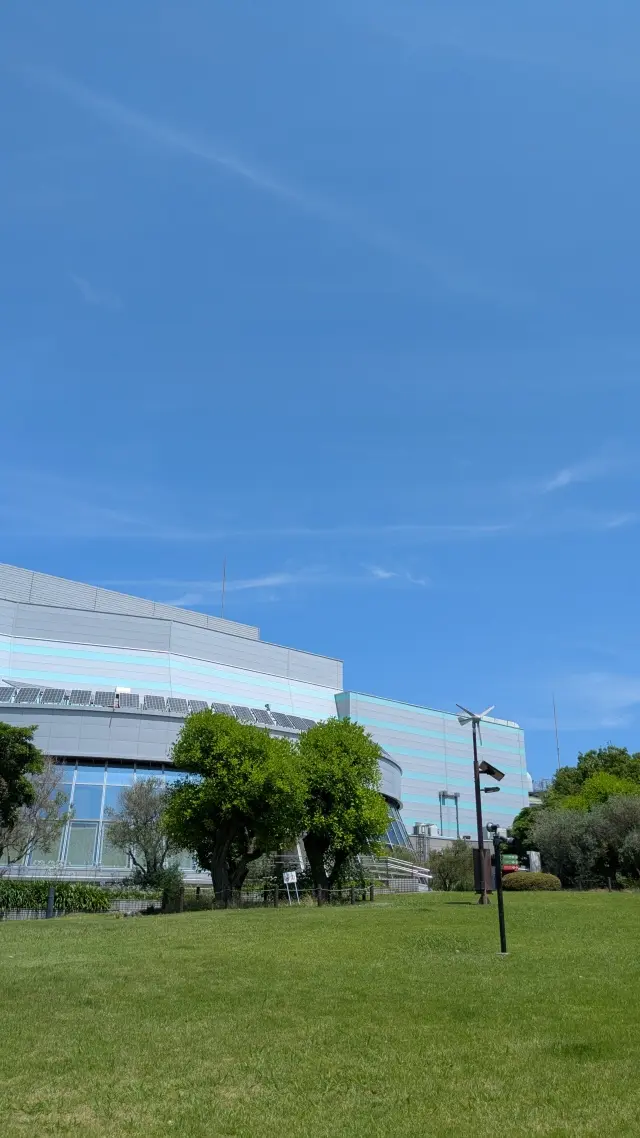芝生広場