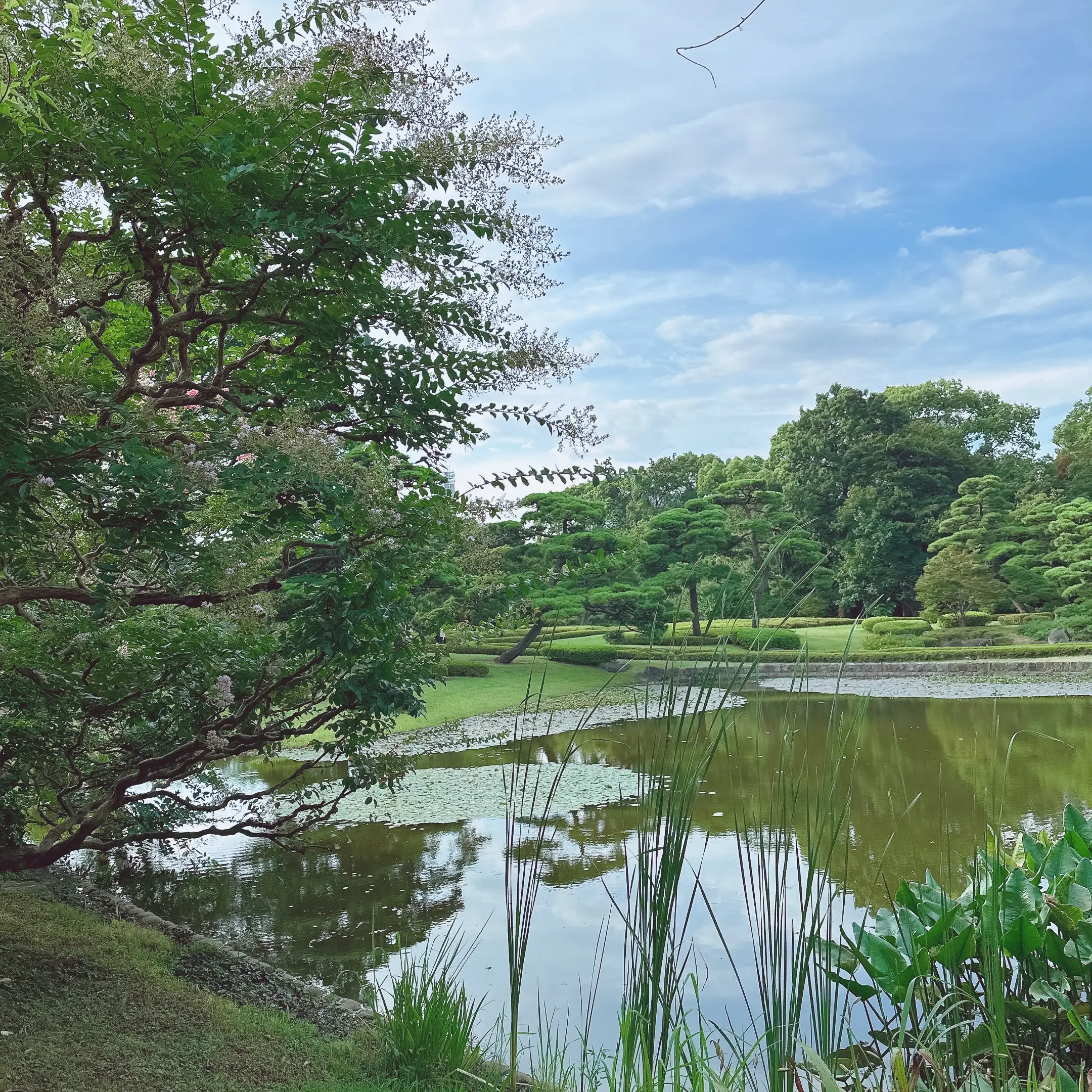 皇居東御苑の二の丸庭園