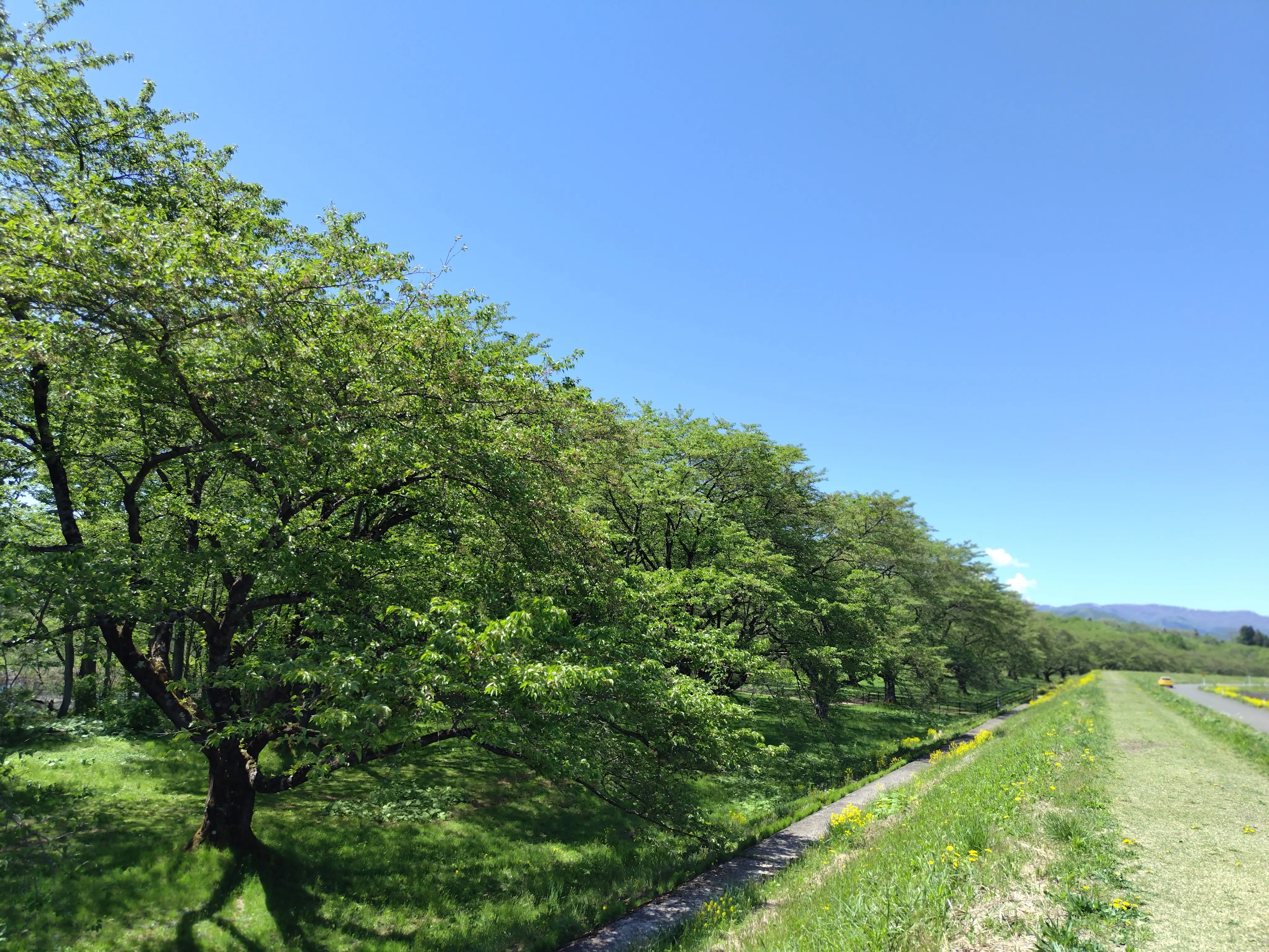 雫石川園地