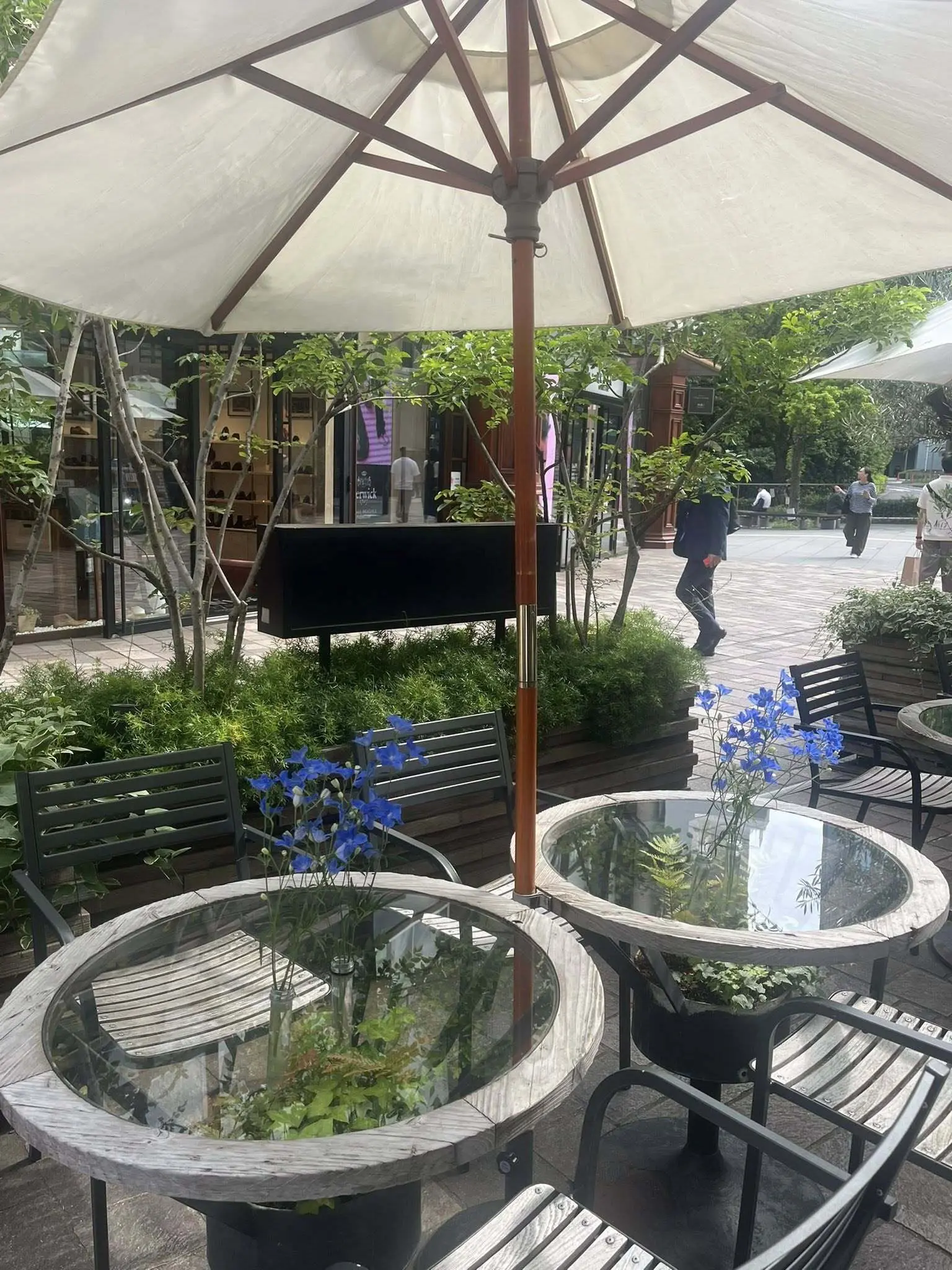 ブルーのお花に囲まれるカフェへ。_1_5-1