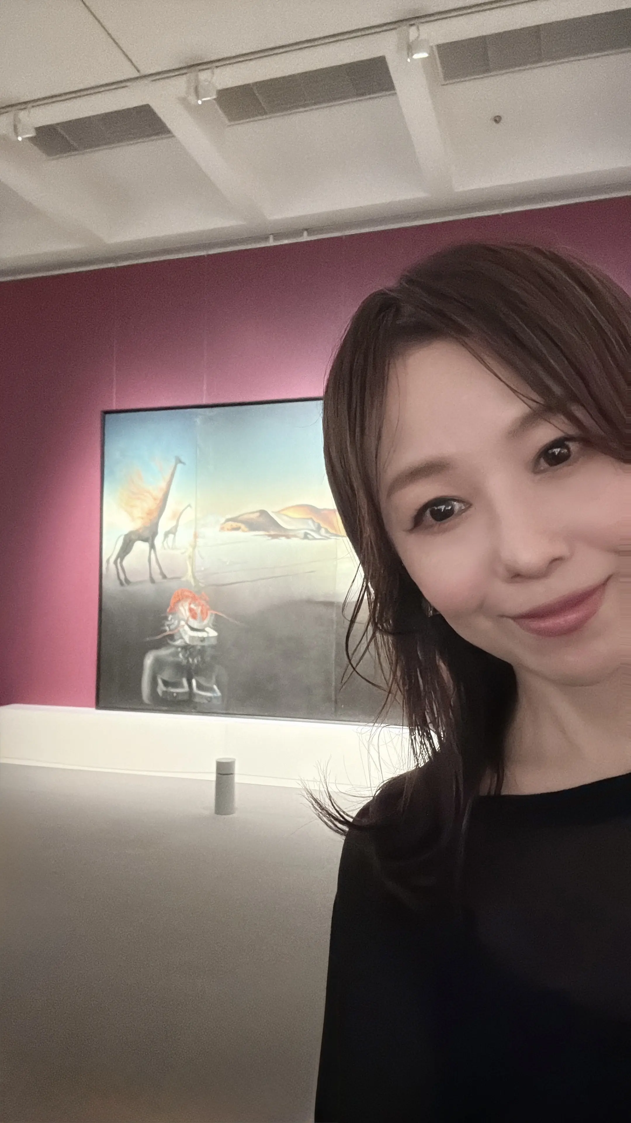 生誕120周年 サルバドール・ダリ展ー天才の秘密ー_1_4