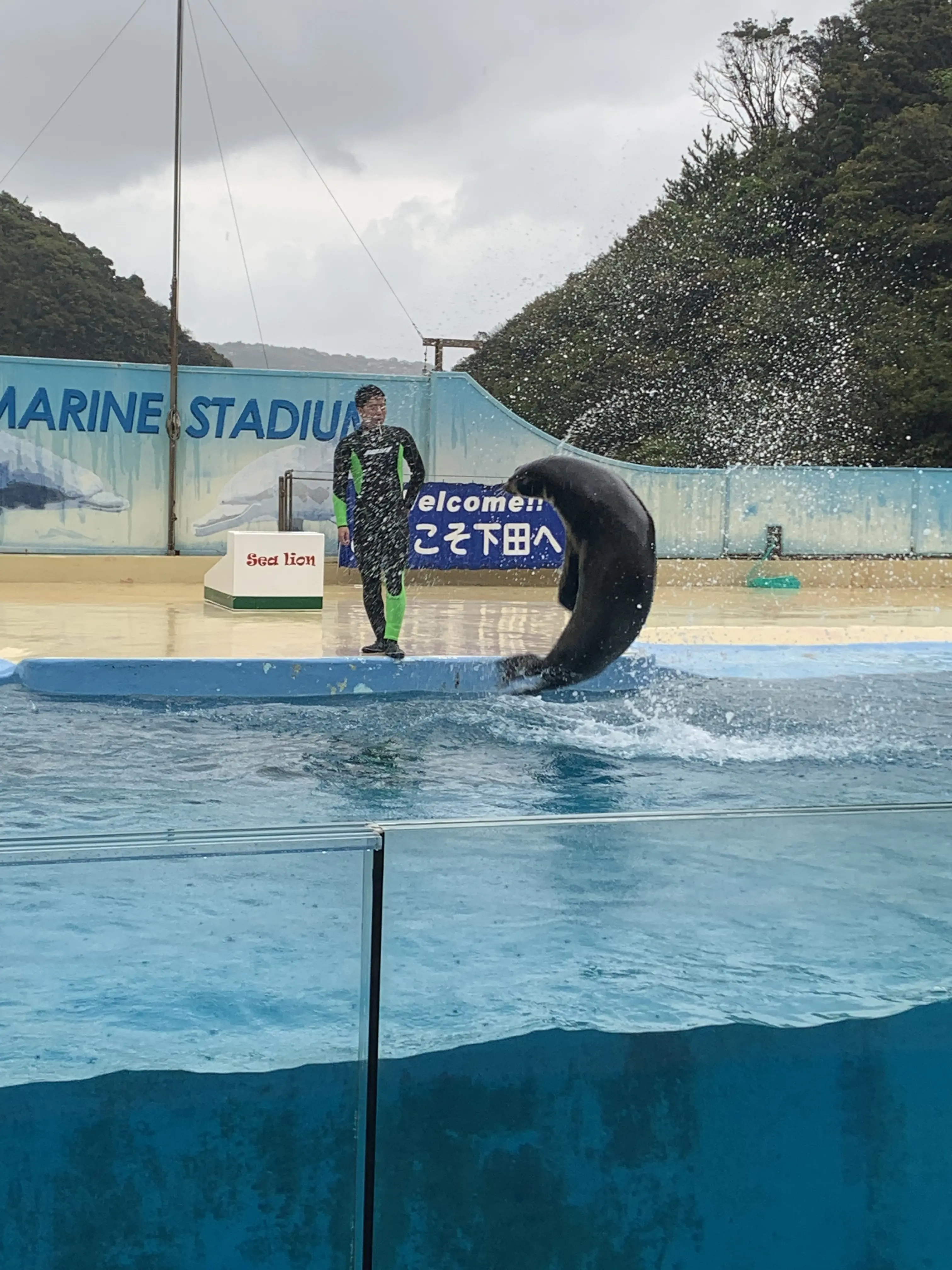 今年の春旅はハリウッド女優もお忍びで訪れる美人の湯 下田観音温泉へ【後編】_1_11