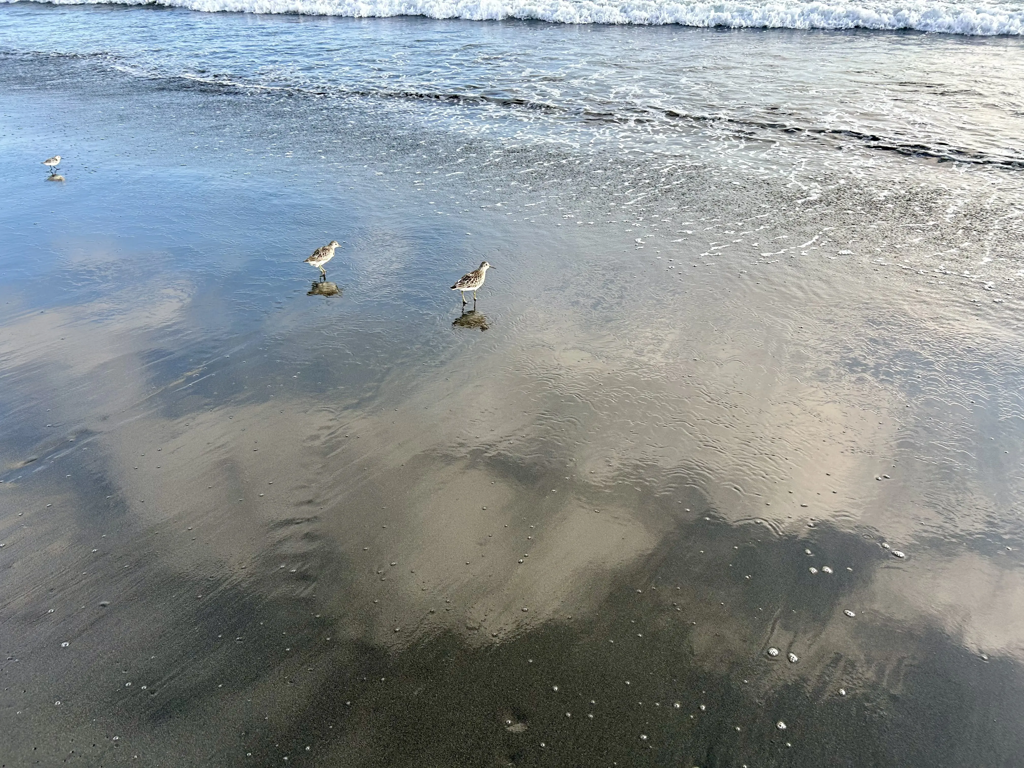 秋の海辺へ午後活に♪_1_3