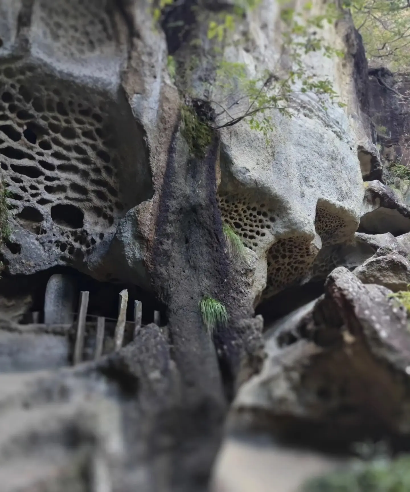 峯の浦・垂水遺跡