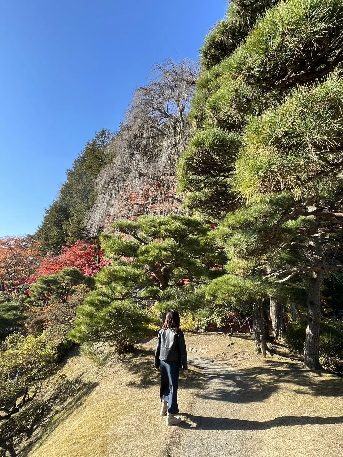 旧南部氏別邸庭園