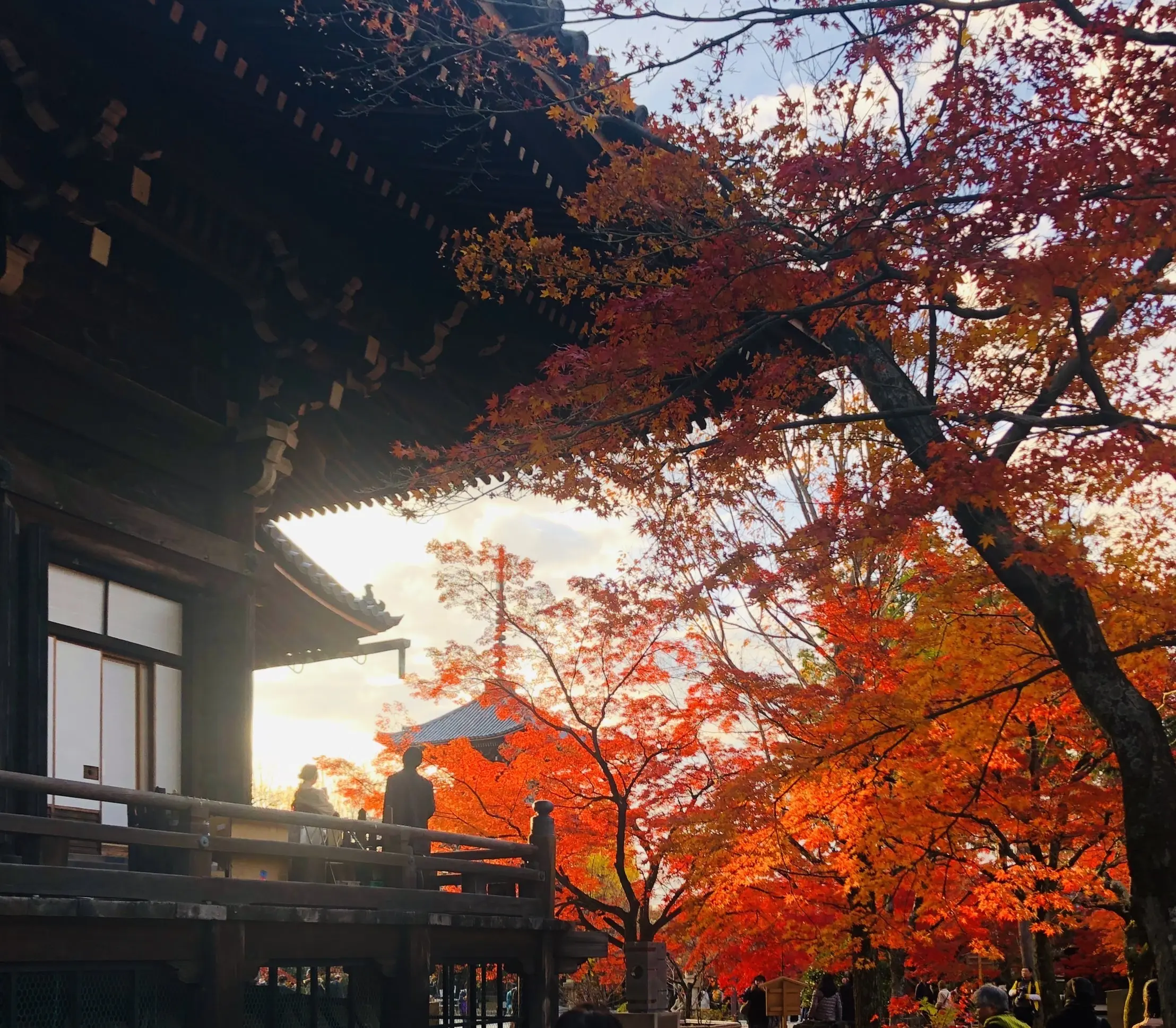 秋の景色を楽しむ♡京都の紅葉_1_26