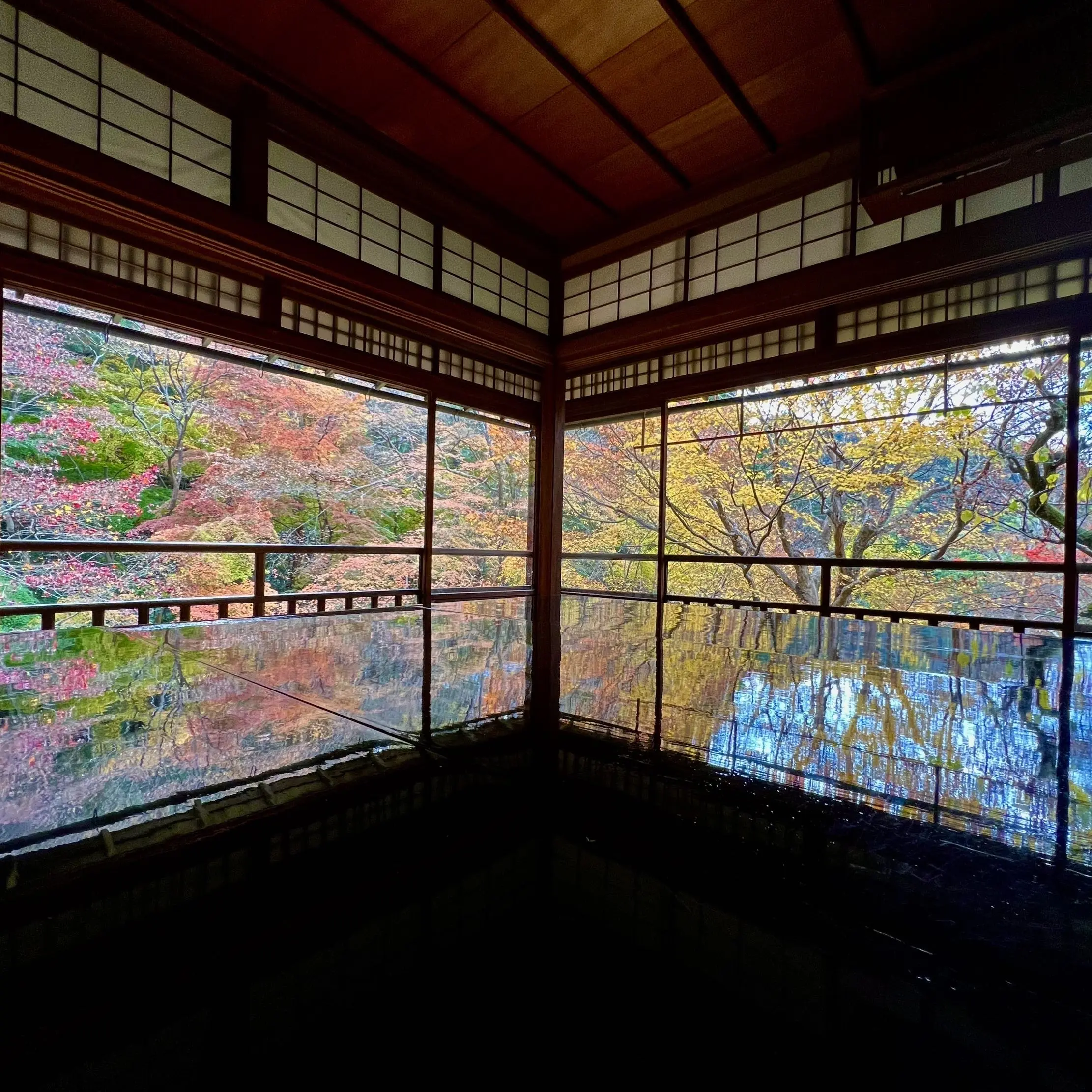秋の景色を楽しむ♡京都の紅葉_1_8