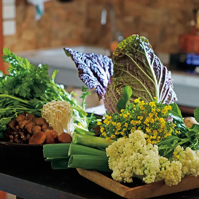 カリフラワーの改良品種・カリフローレや紫白菜、菜の花など