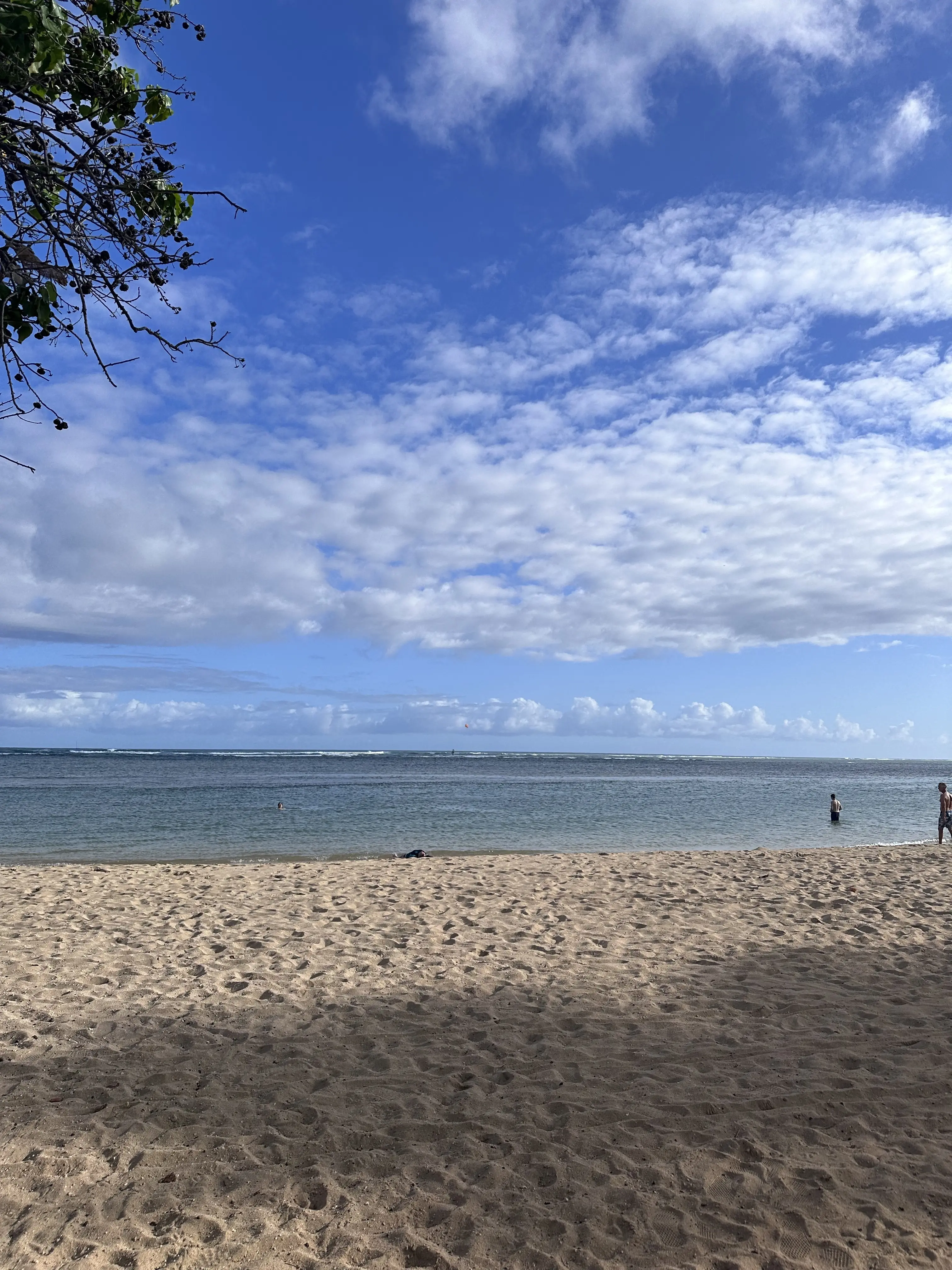 Hawaiiオアフ島へ家族旅行_1_8