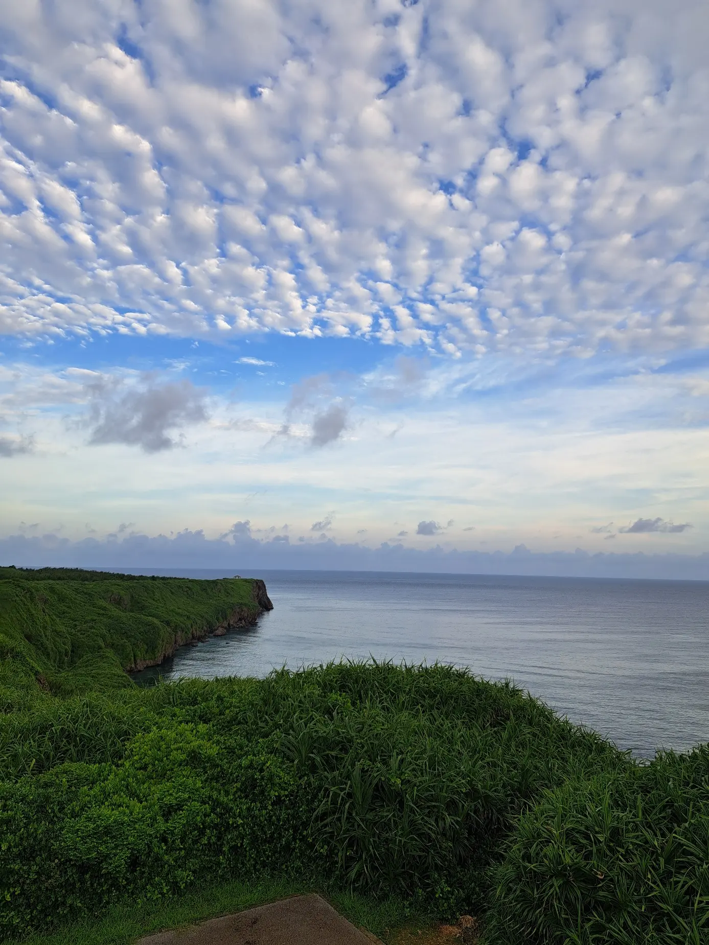 3度目の伊良部島の夏_1_7