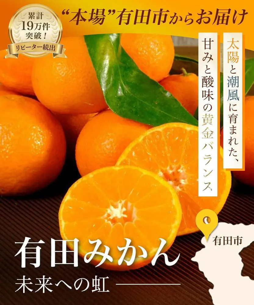 ふるさと納税　和歌山県有田市　有田みかん