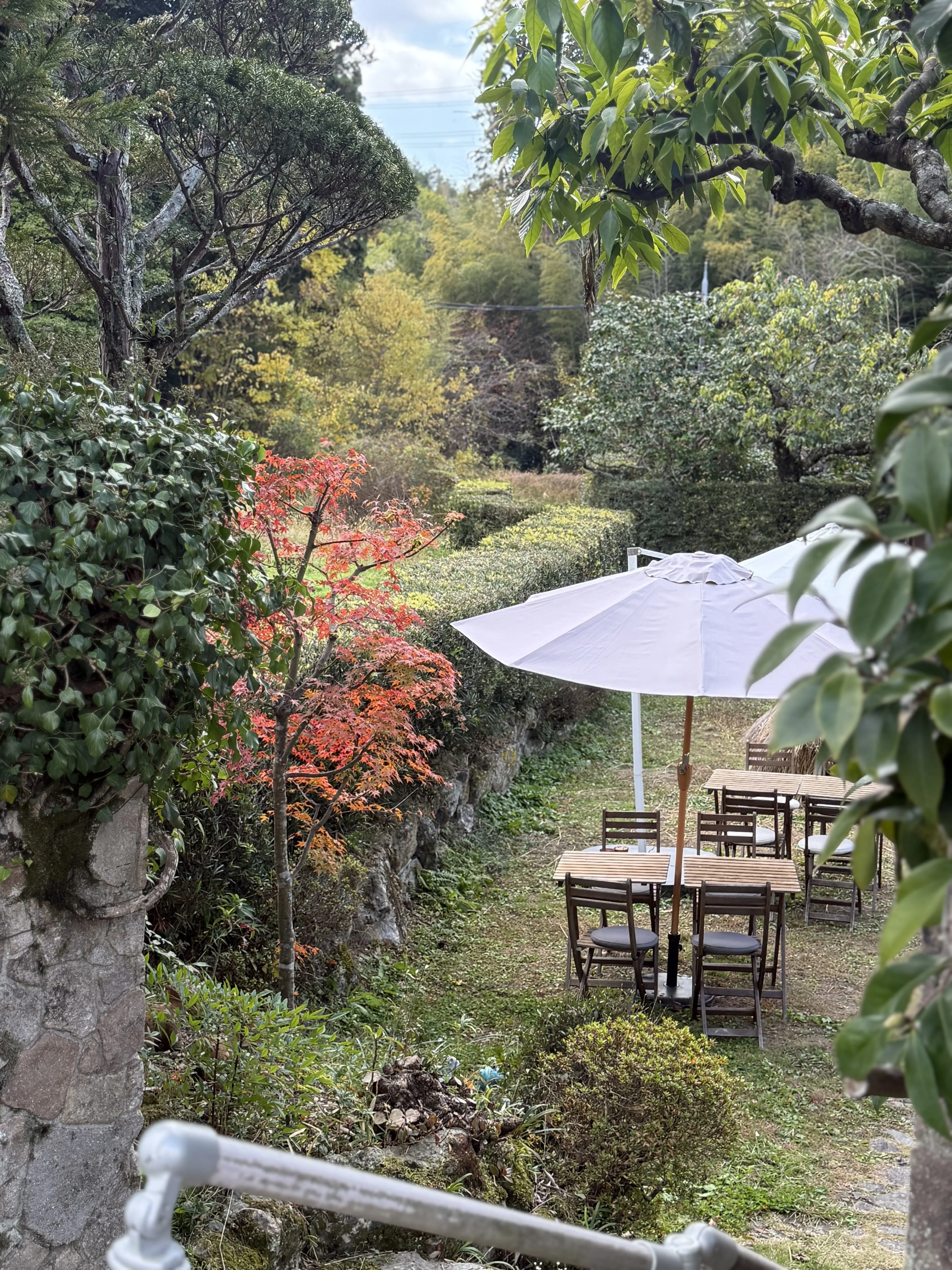 神戸　ベーグル　はなとね