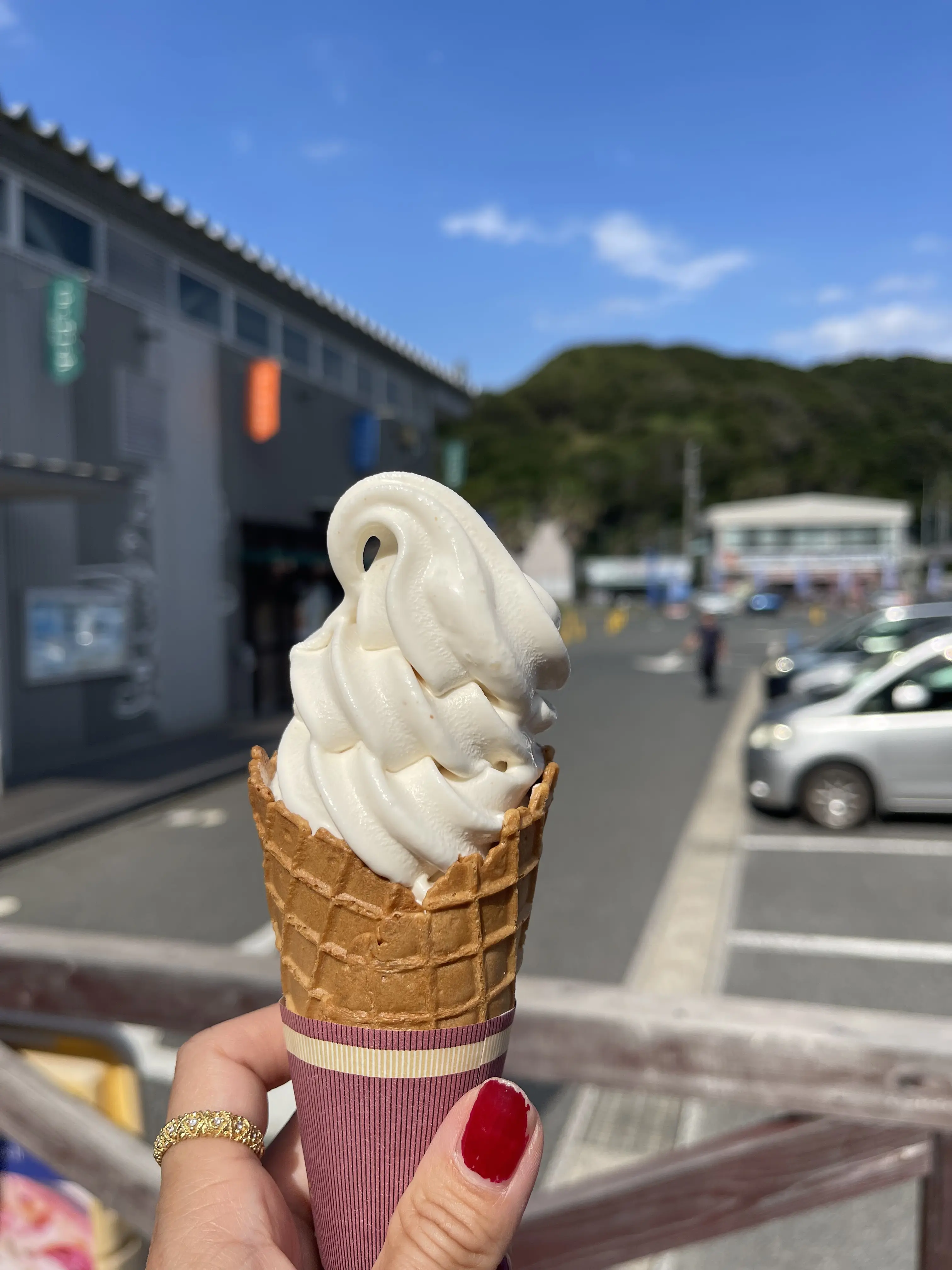 東京湾を渡る30分の船旅。愛犬と久里浜港からのプチトリップ 🛳️_1_12