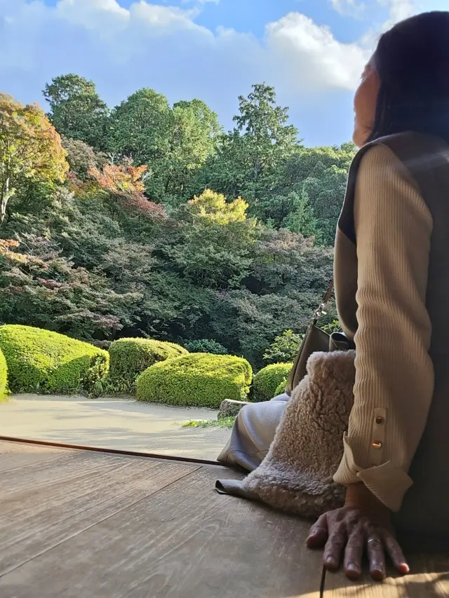 秋の京都ひとり旅・中編 ～瑠璃光院から詩仙堂へ〜わずかな時間も特別な京都の午後_1_13